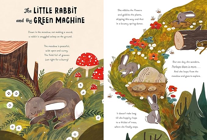 5 - Minute Nature Stories - Hardcover