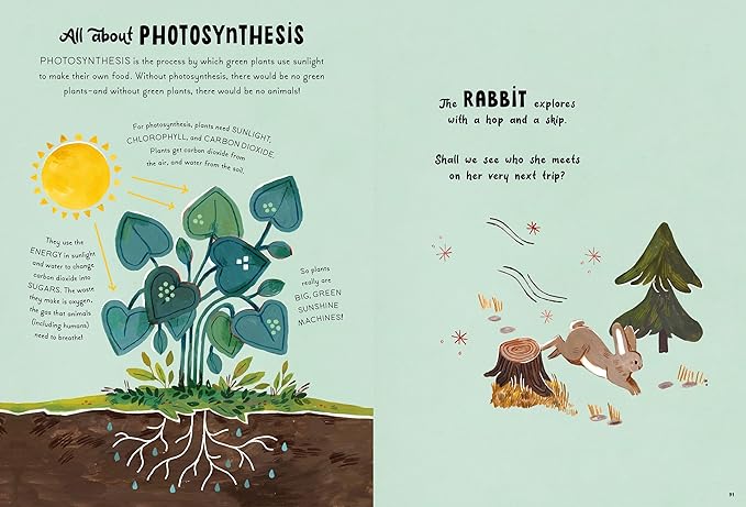 5 - Minute Nature Stories - Hardcover
