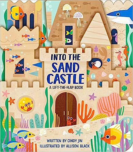 Into The Sand Castle: A Lift-The-Flap Book