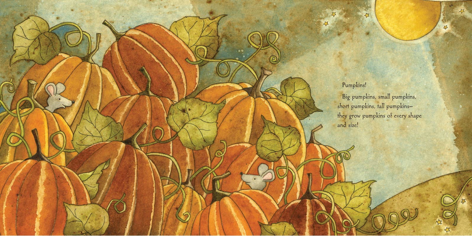 Very Best Pumpkin