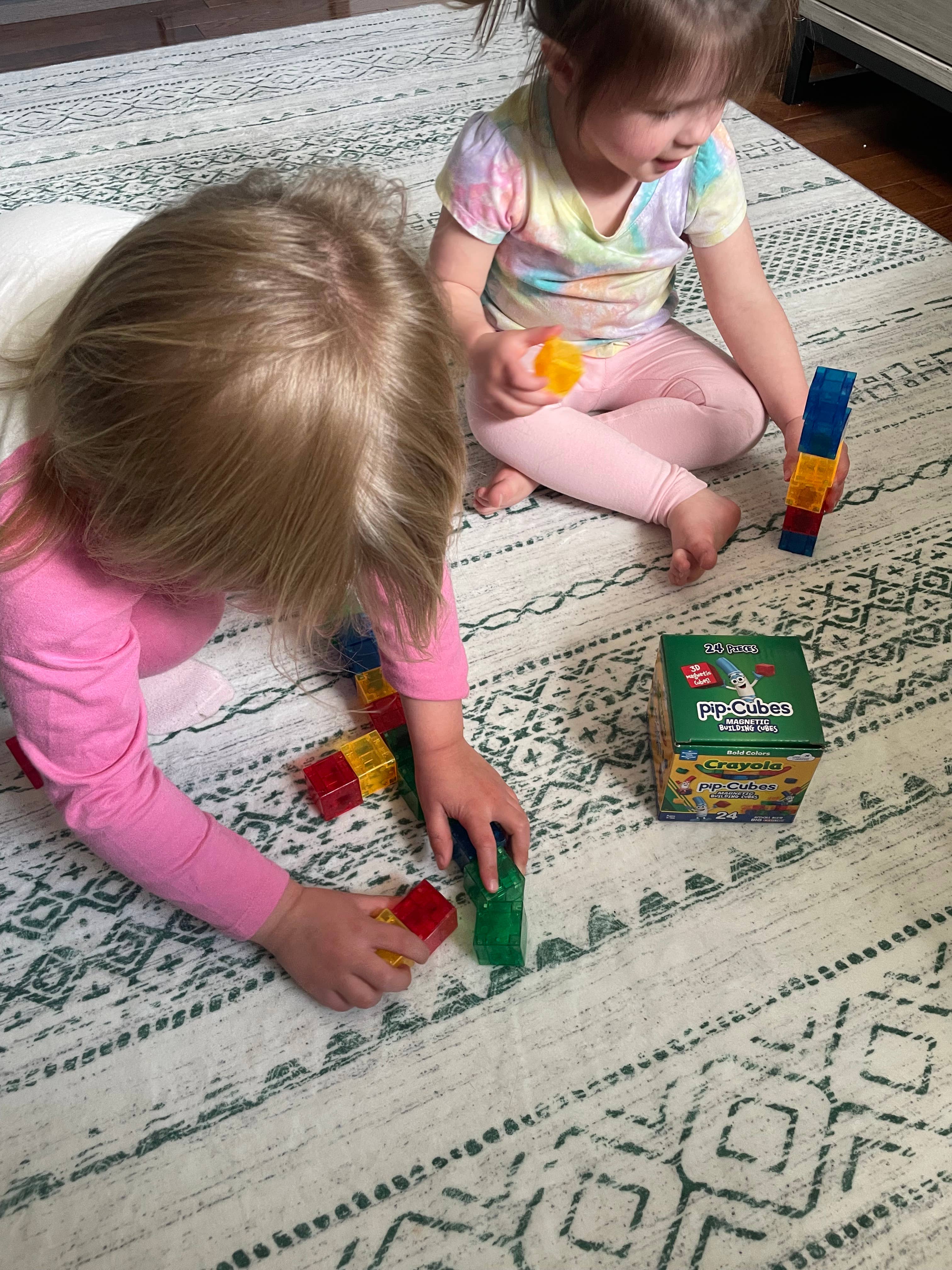 Crayola Bold PIP Magnetic Cubes 24pc