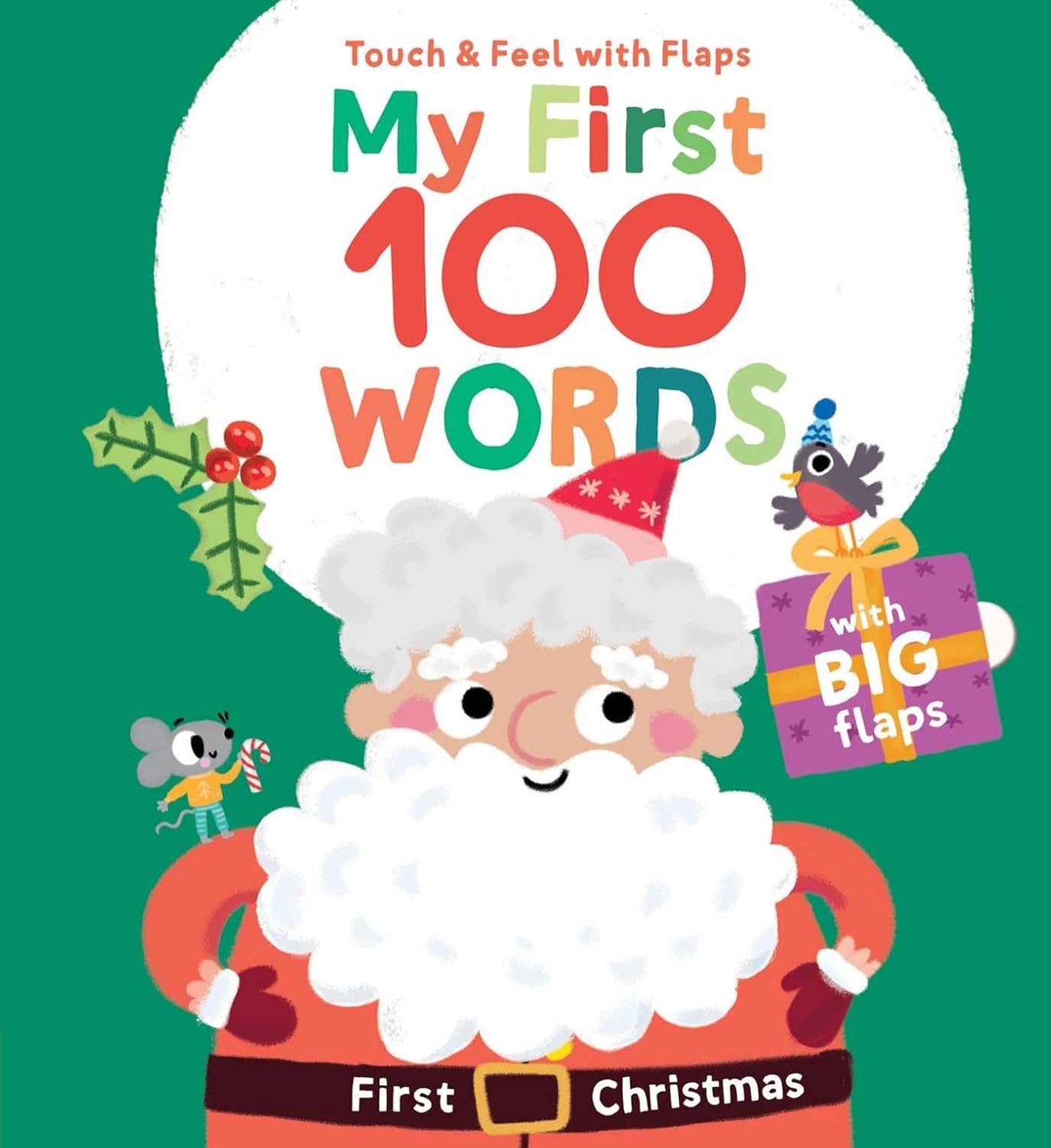 My First 100 Words Touch & Feel with Flaps