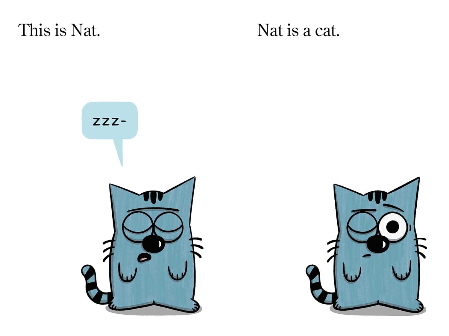 Nat the Cat Five Books in One!