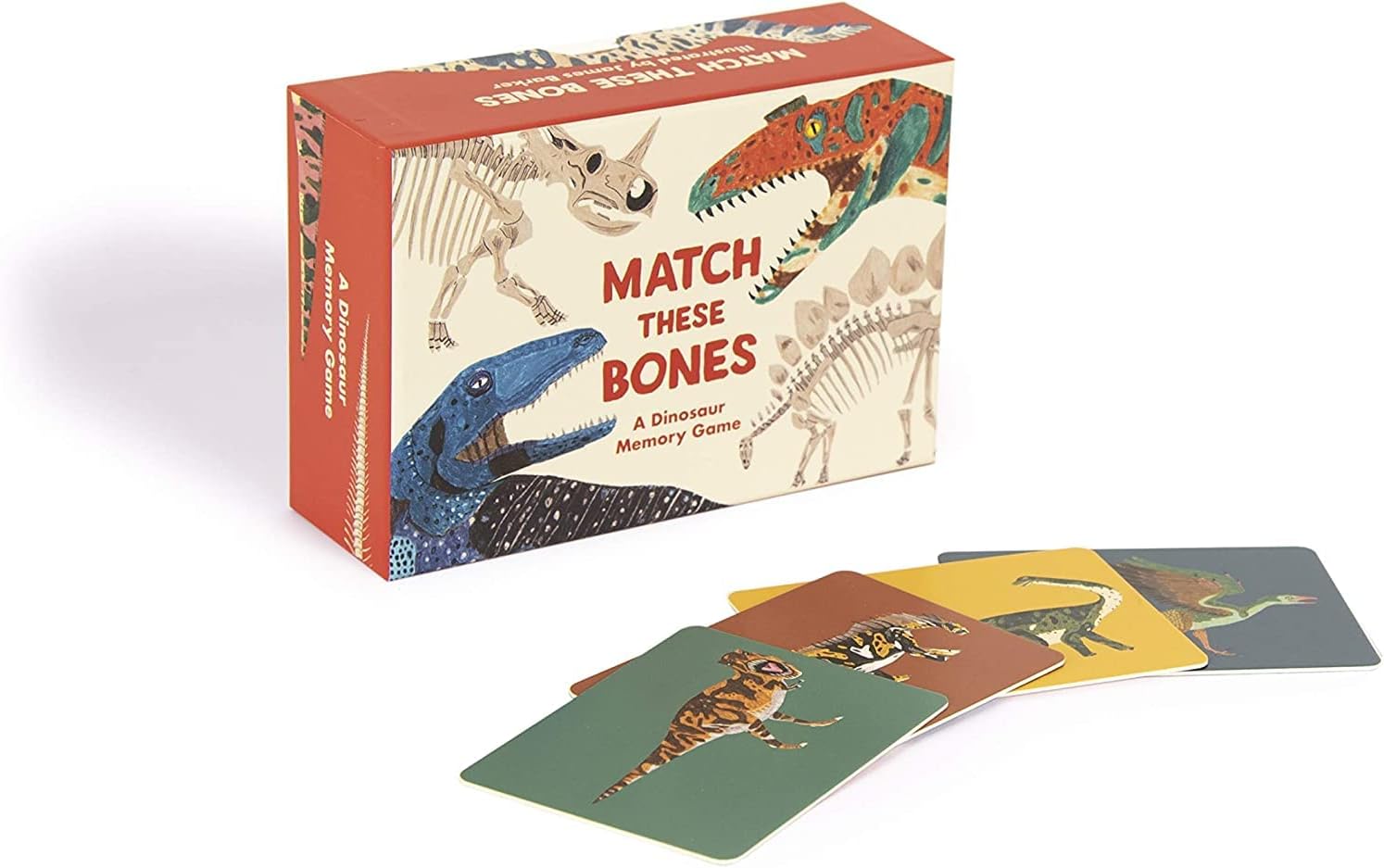 Match these Bones