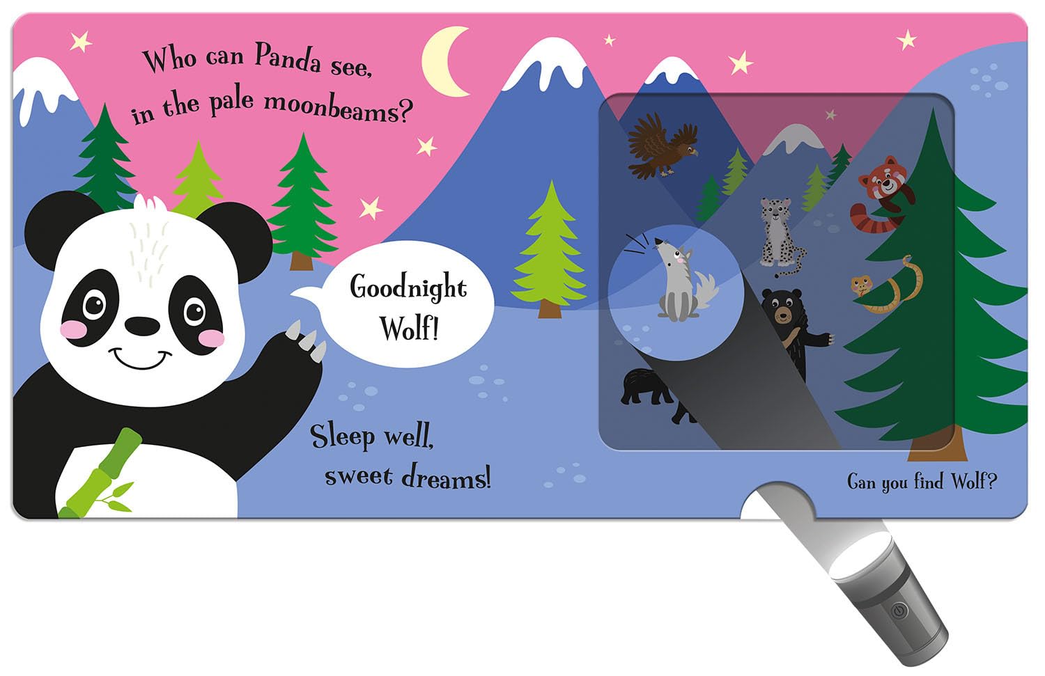 Goodnight Panda (Magic Flashlight Books)