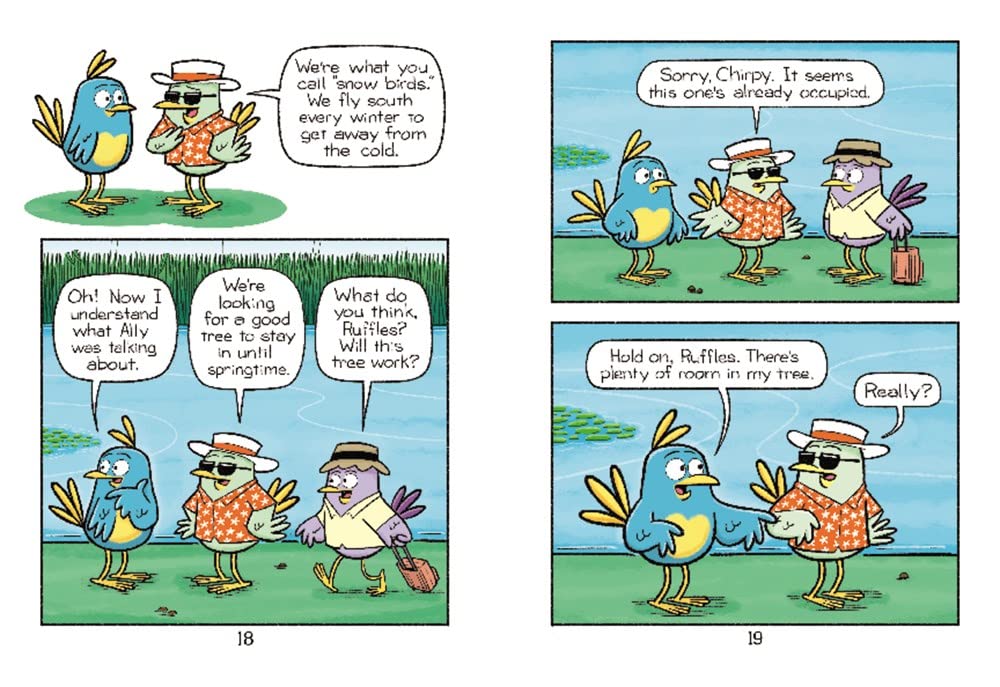 Beak & Ally #4: Snow Birds