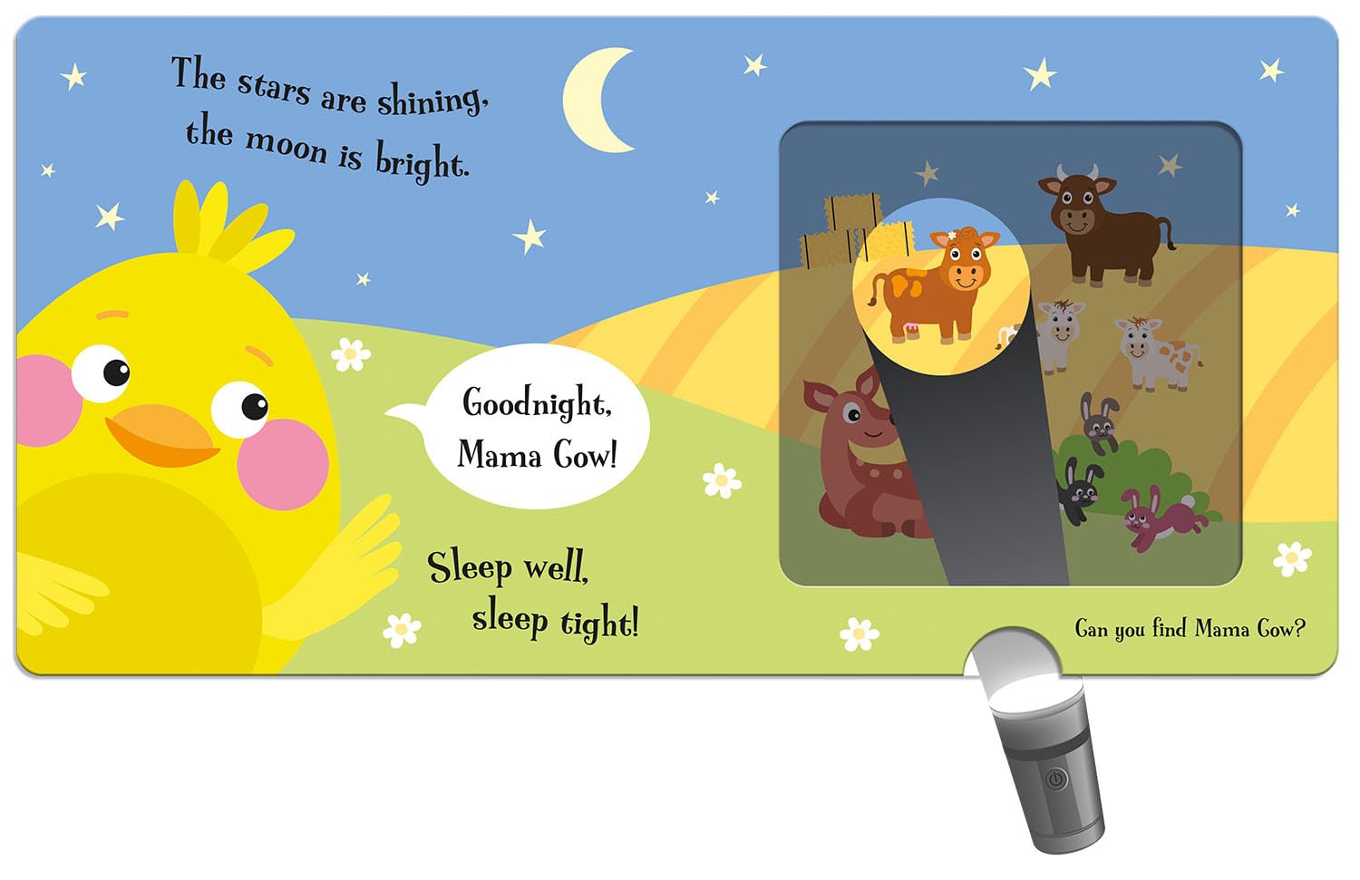 Goodnight Chick (Magic Flashlight Books)
