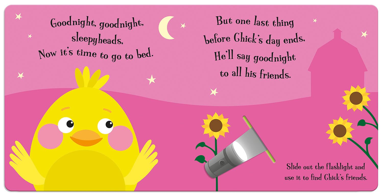 Goodnight Chick (Magic Flashlight Books)