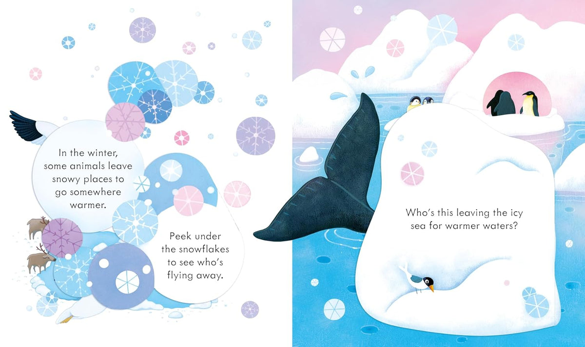 Peek Inside Snowy Places