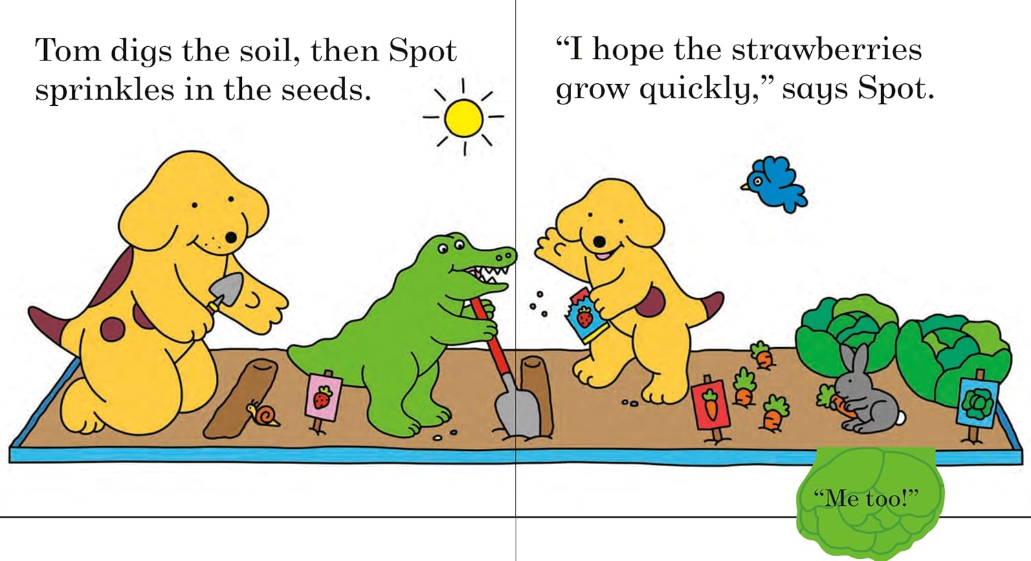 Find Spot in the Garden