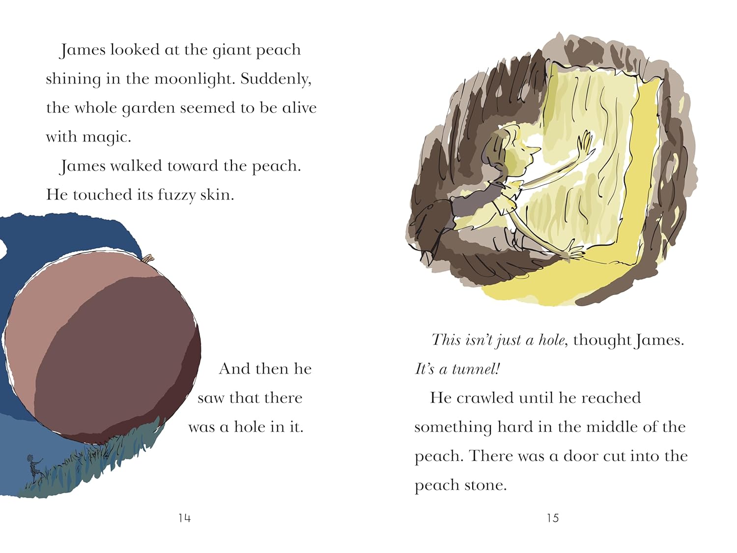 James and the Giant Peach: The Fantastic Flying Fruit