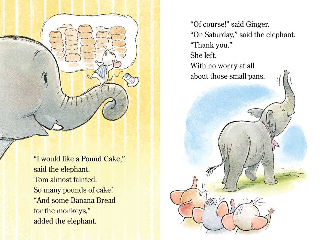 Elephant's Birthday || Paperback