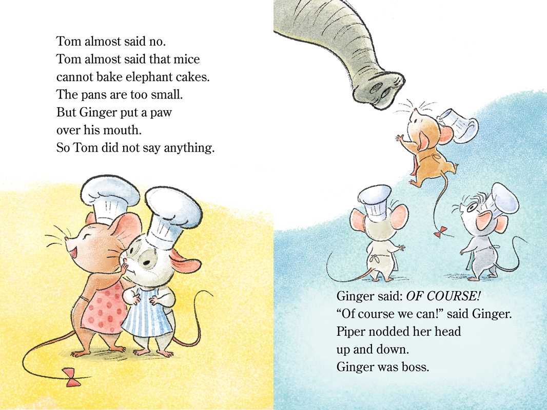 Elephant's Birthday || Hardcover