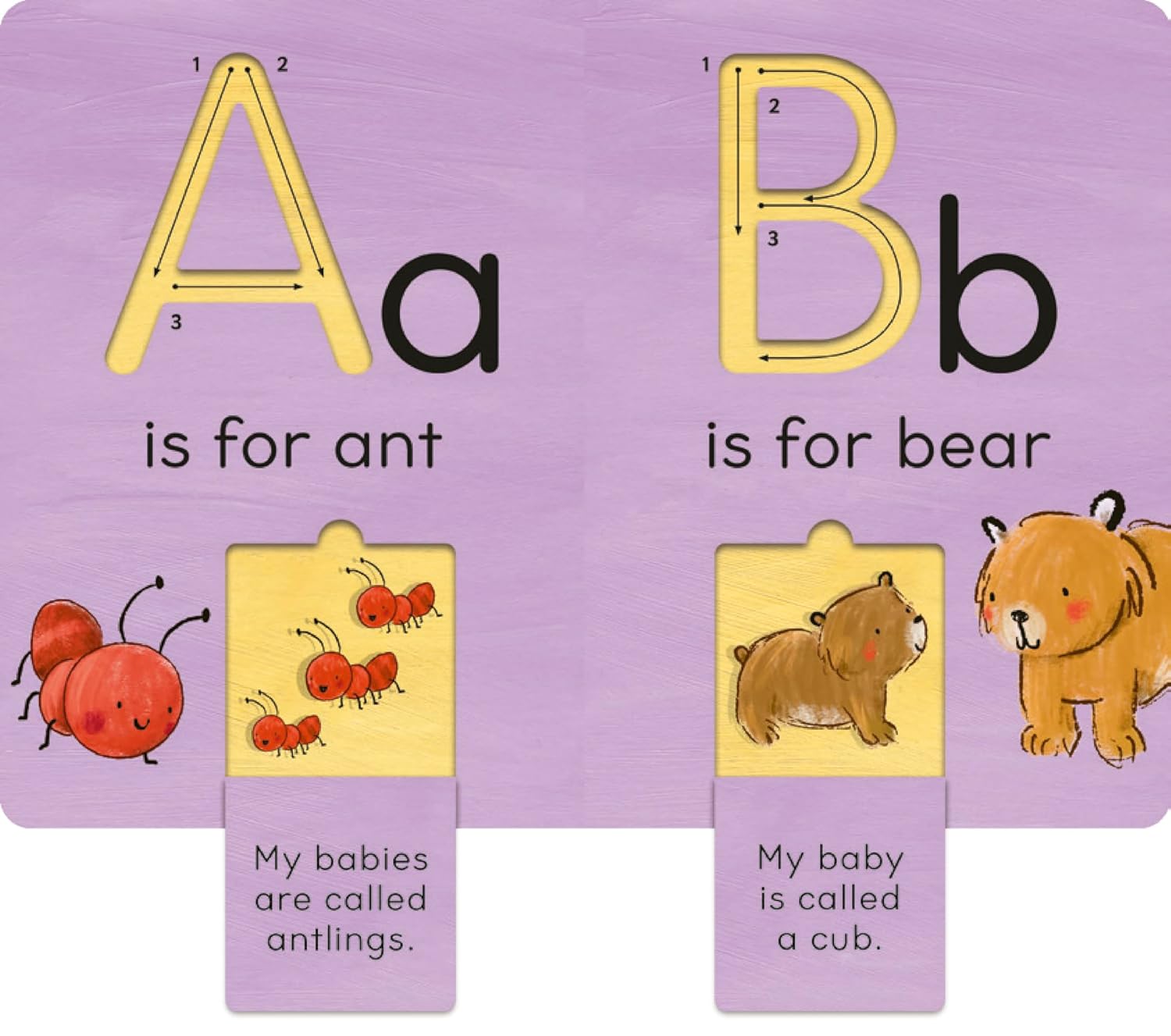 B is for Baby Animals