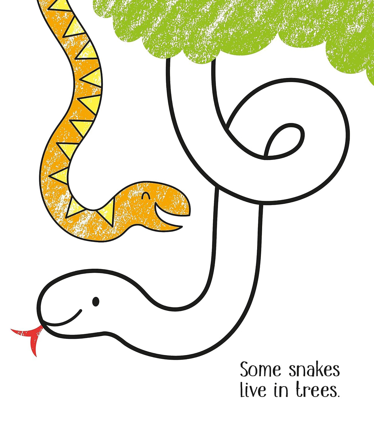 Little Coloring Zoo Animals