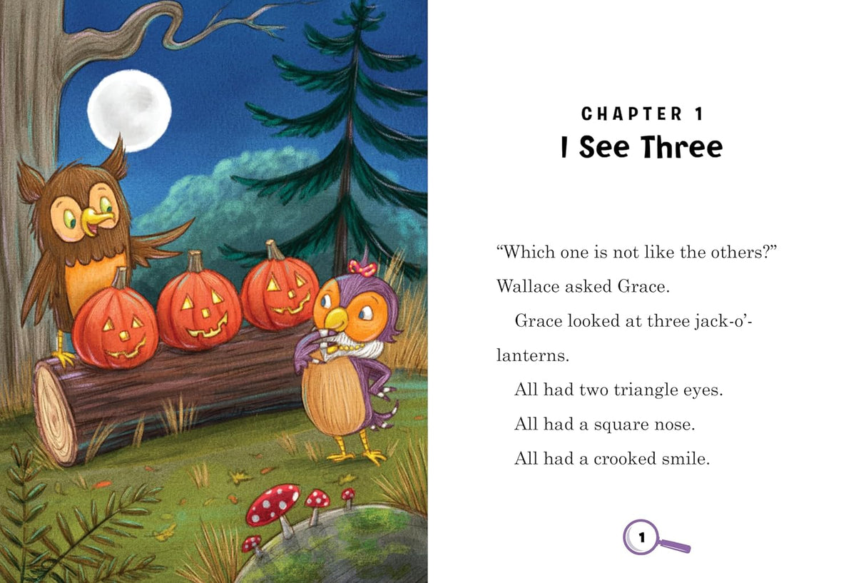 Wallace and Grace and the Gift Thief
