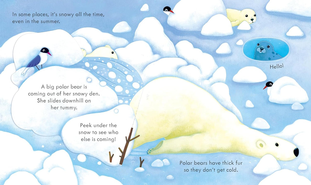 Peek Inside Snowy Places