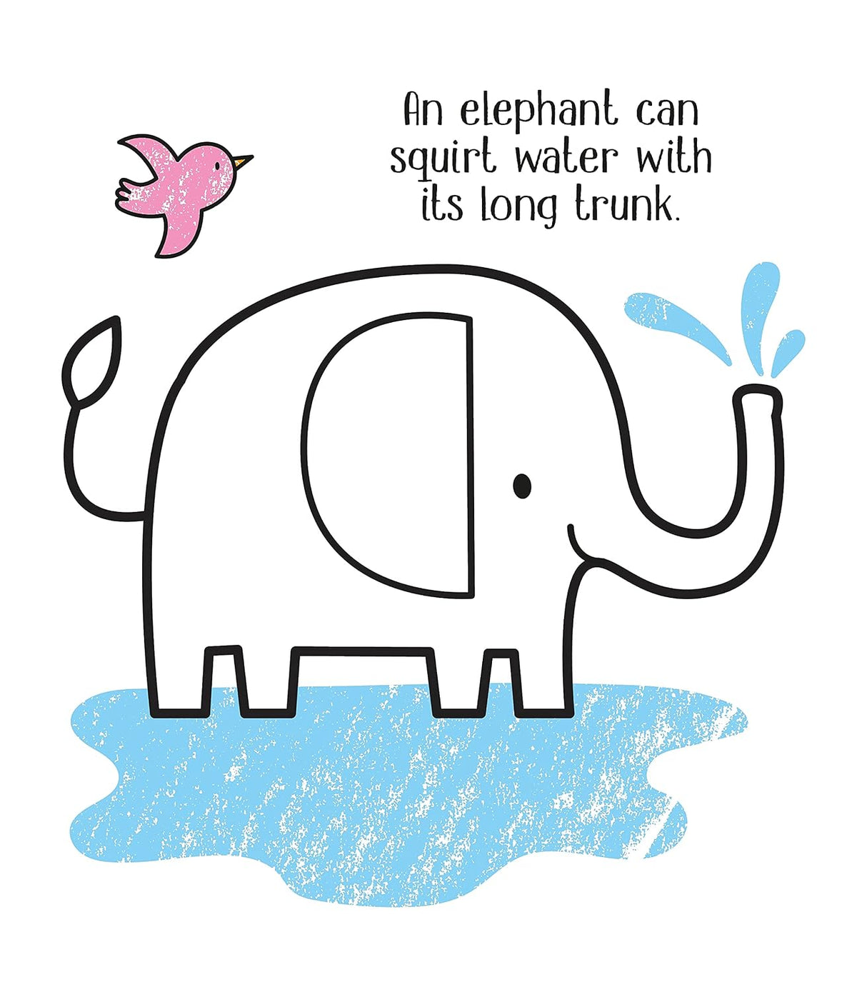 Little Coloring Zoo Animals