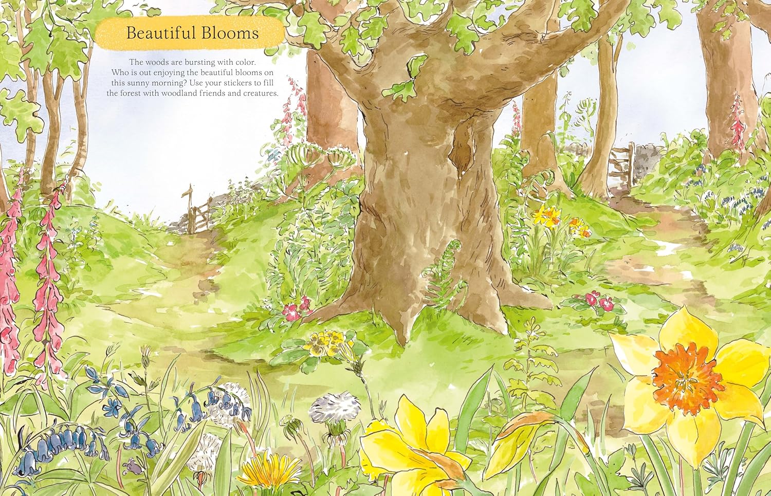 The Great Outdoors Sticker Activity  Book