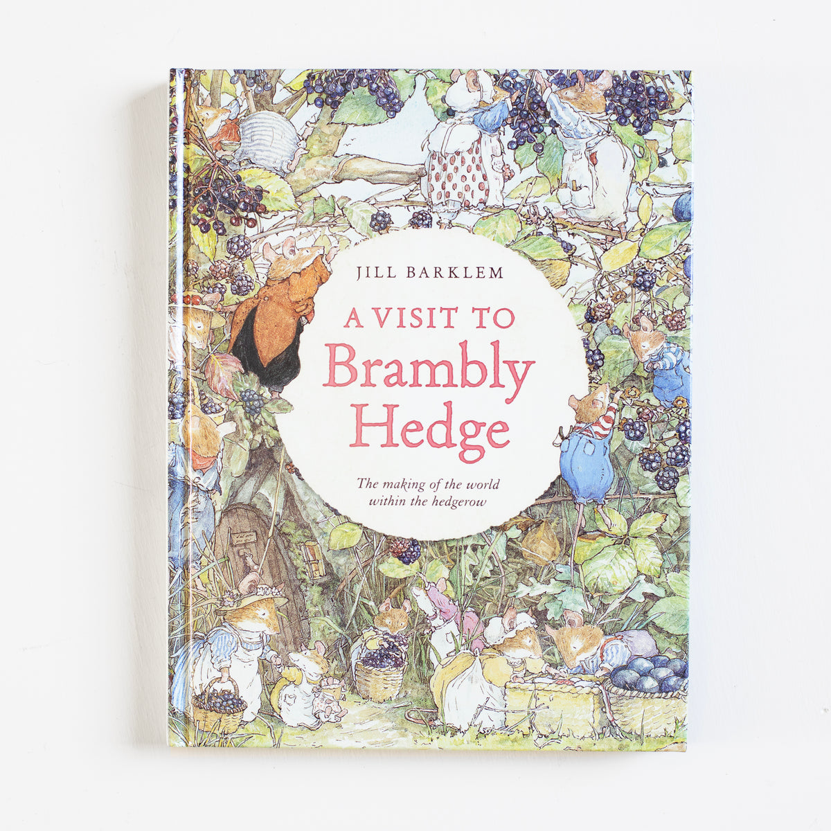 A Visit to Brambly Hedge