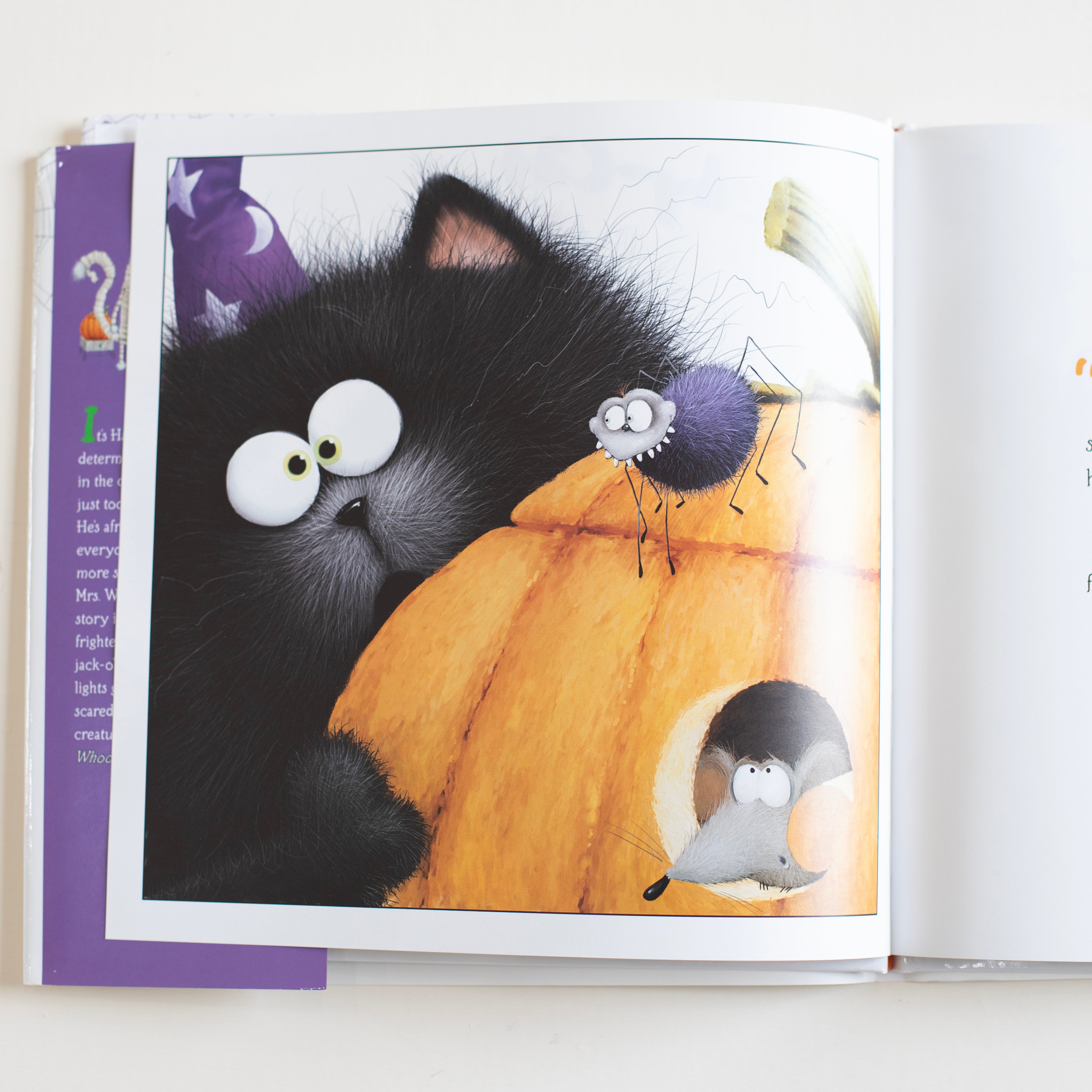 Scaredy-Cat, Splat!