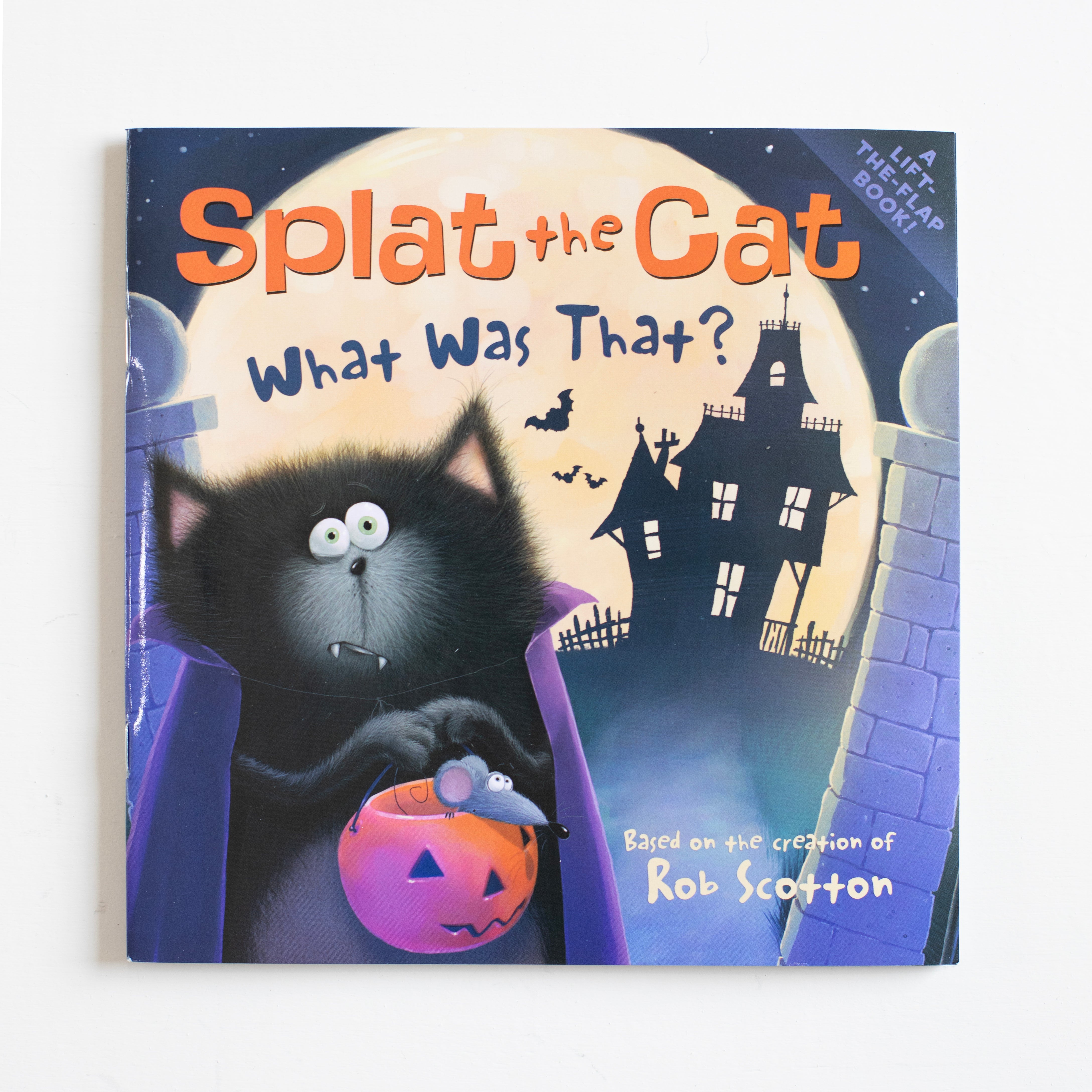 Splat the Cat: What Was That?