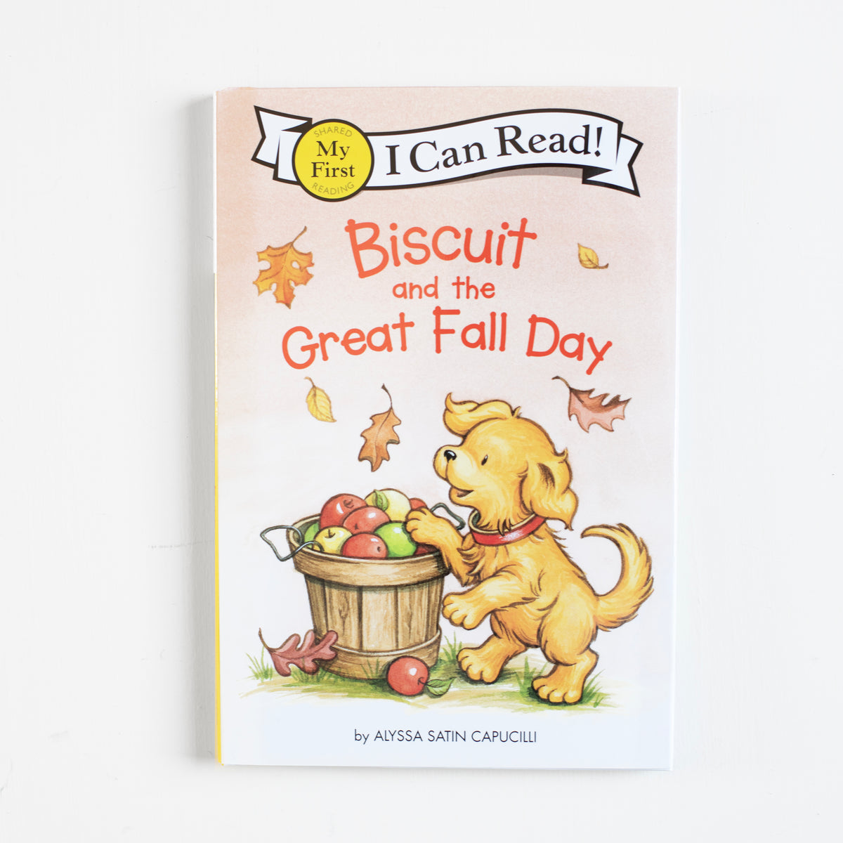 Biscuit and the Great Fall Day