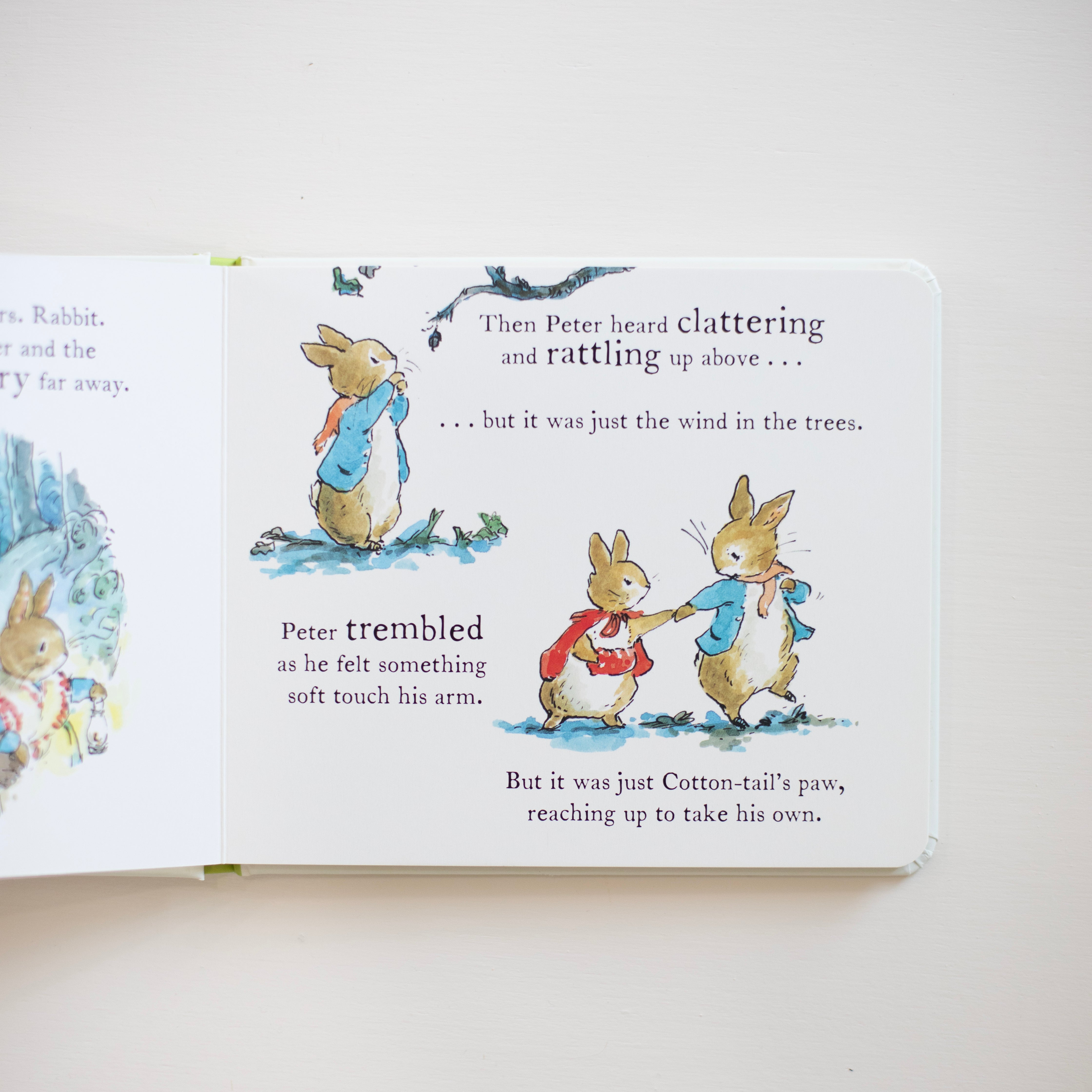 A Pumpkin for Peter: A Peter Rabbit Tale