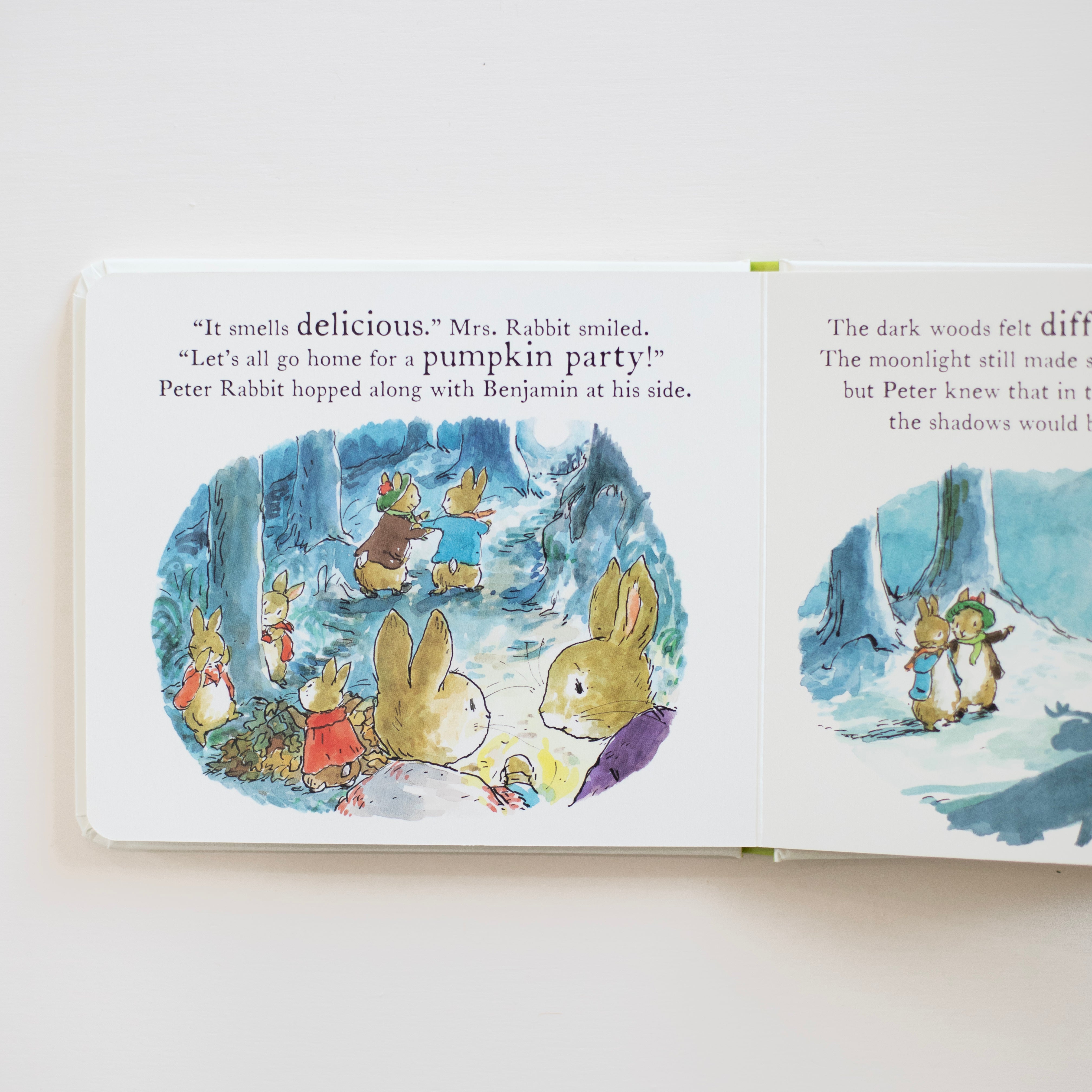 A Pumpkin for Peter: A Peter Rabbit Tale