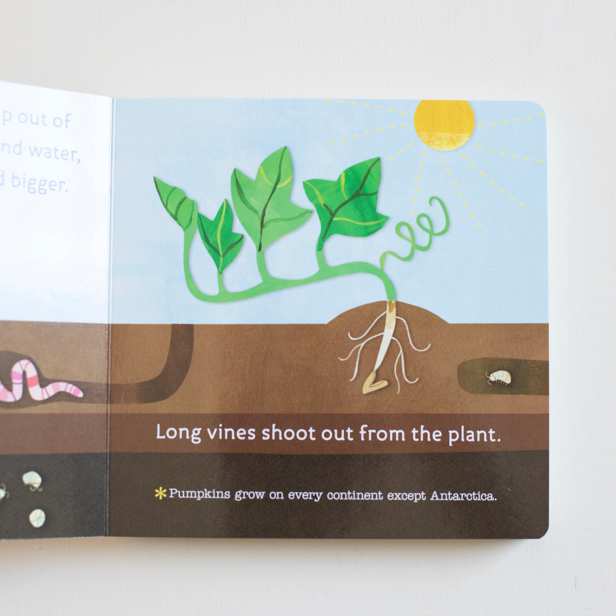 Hello, World! From Seed to Pumpkin