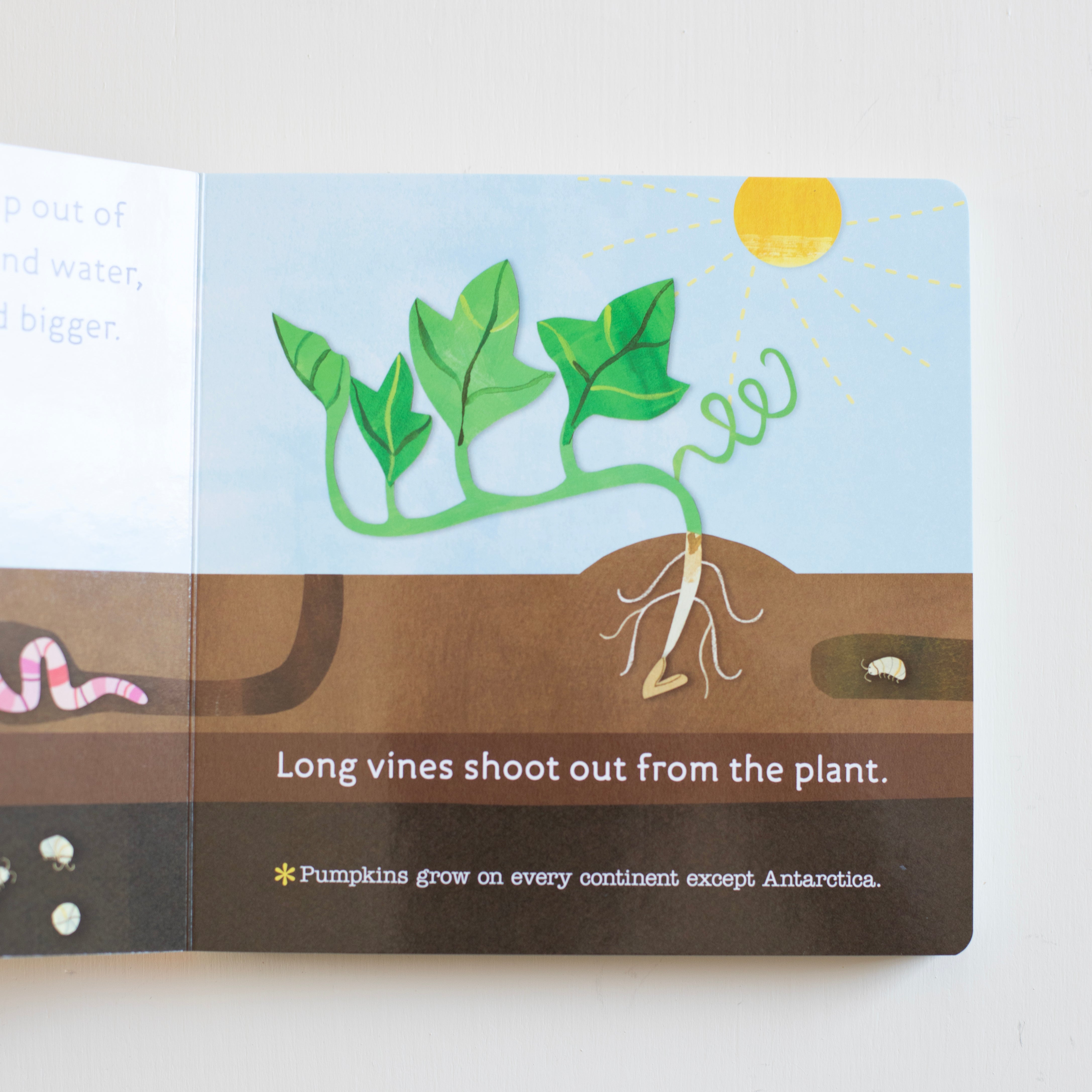 Hello, World! From Seed to Pumpkin