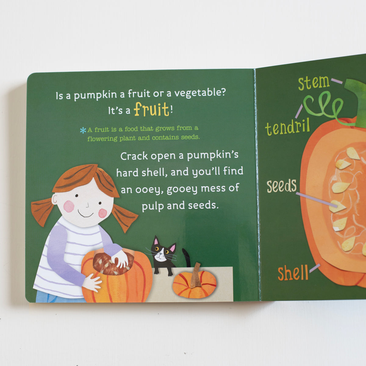 Hello, World! From Seed to Pumpkin