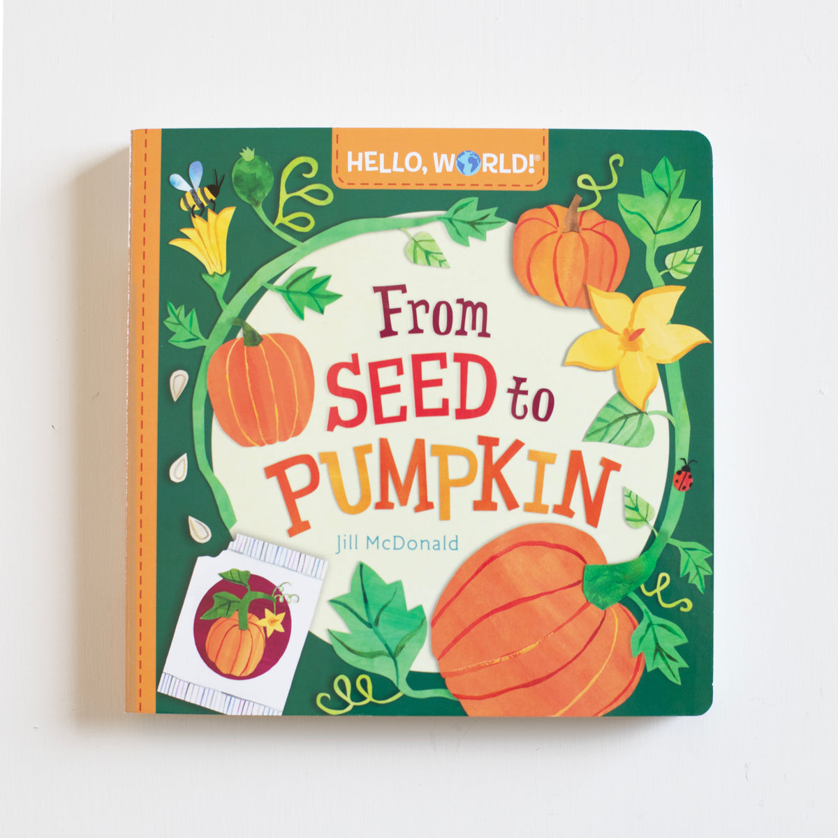 Hello, World! From Seed to Pumpkin