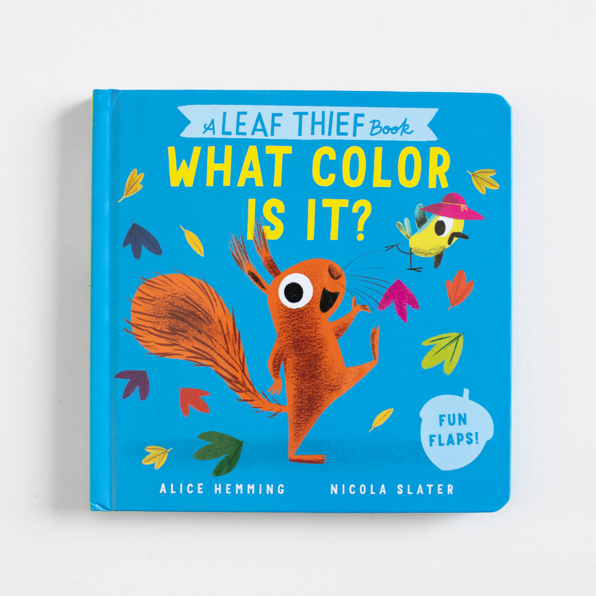 A Leaf Thief Book: What Color Is It?)