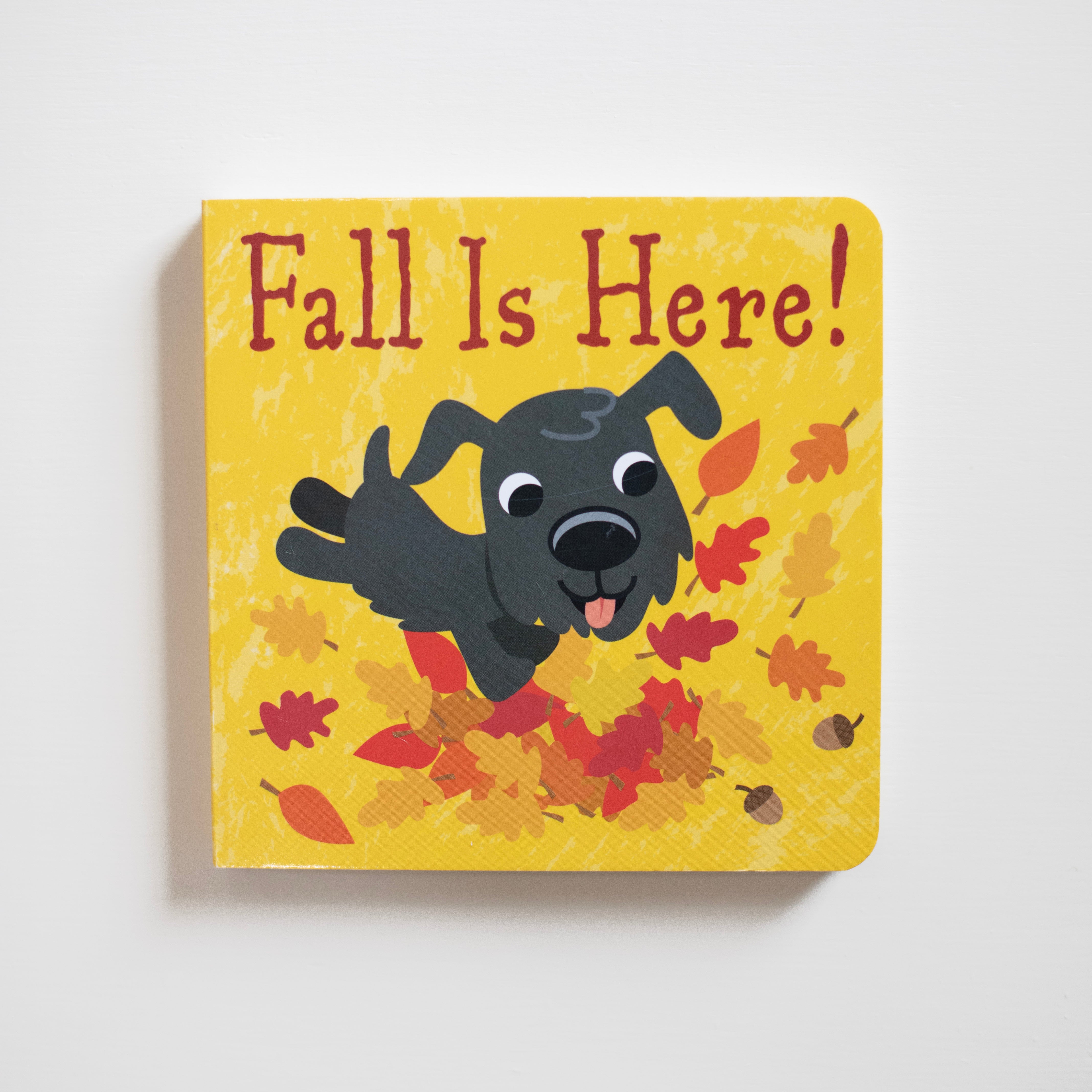 Fall Is Here!