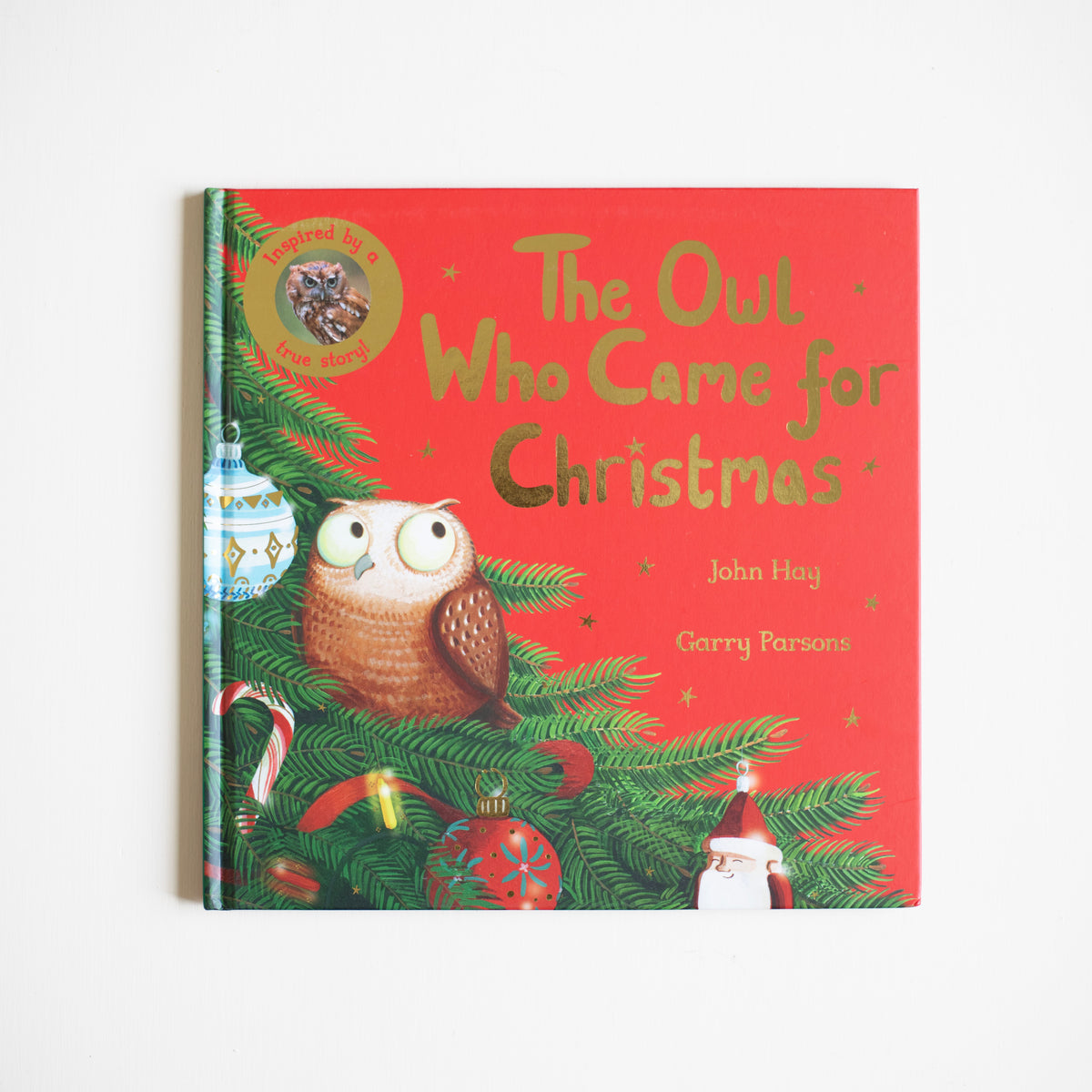 The Owl Who Came for Christmas