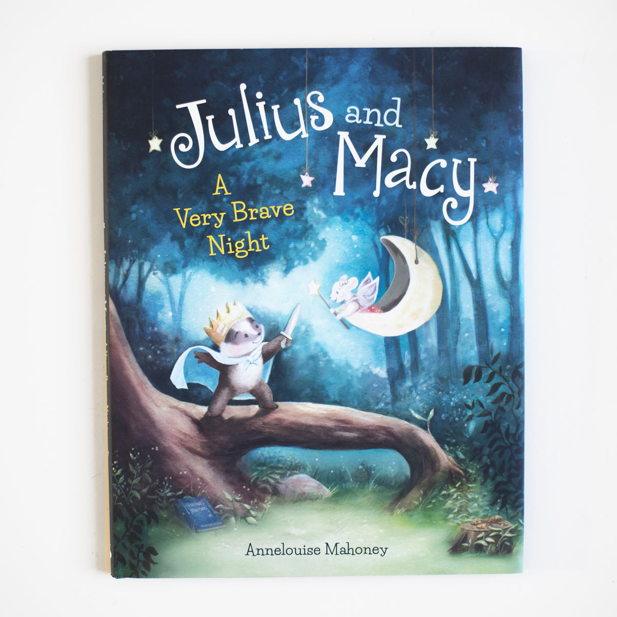 Julius and Macy A Very Brave Night