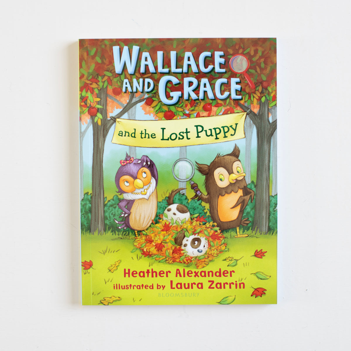 Wallace and Grace and the Lost Puppy (Book 3)