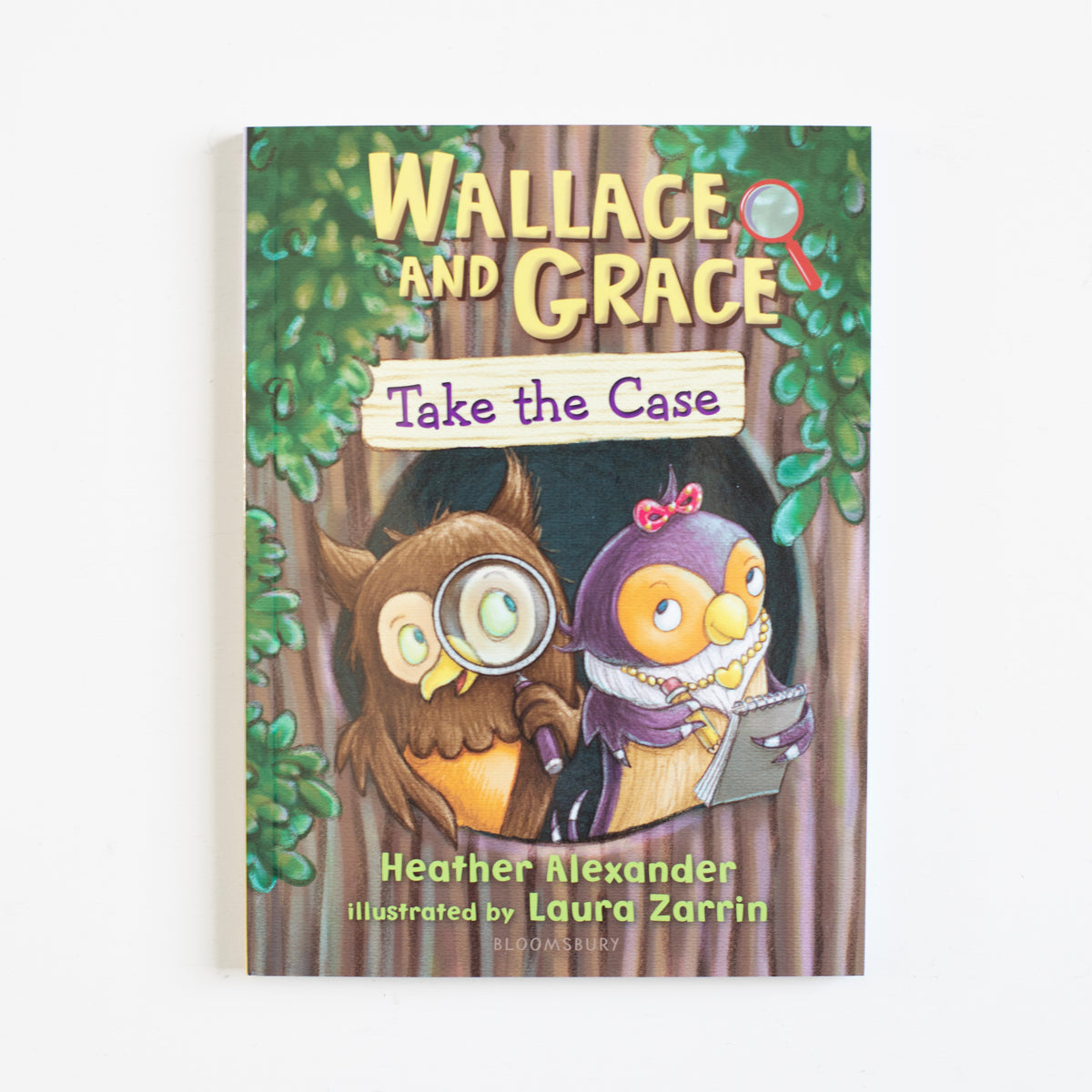 Wallace and Grace Take the Case (Book 1)