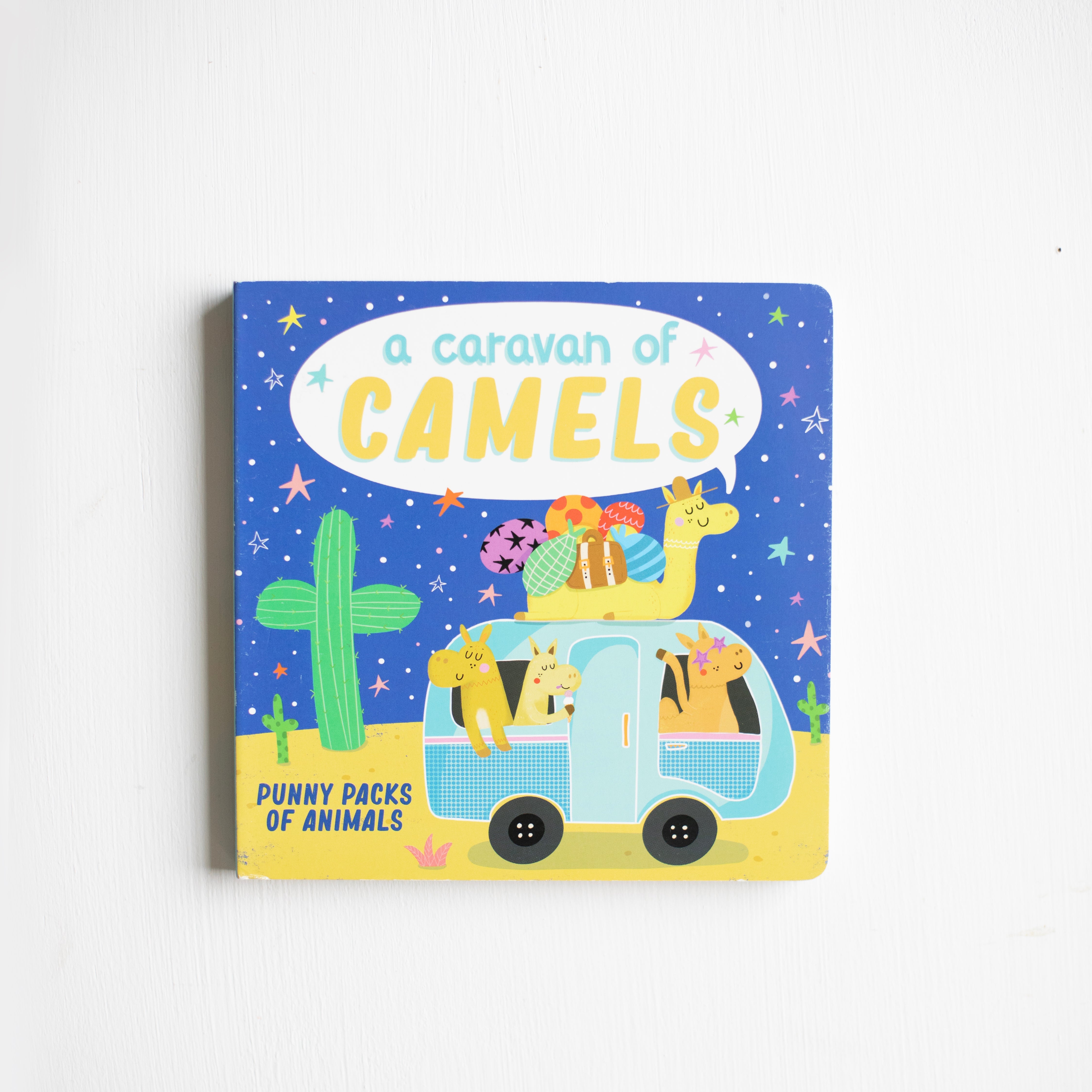 A Caravan of Camels