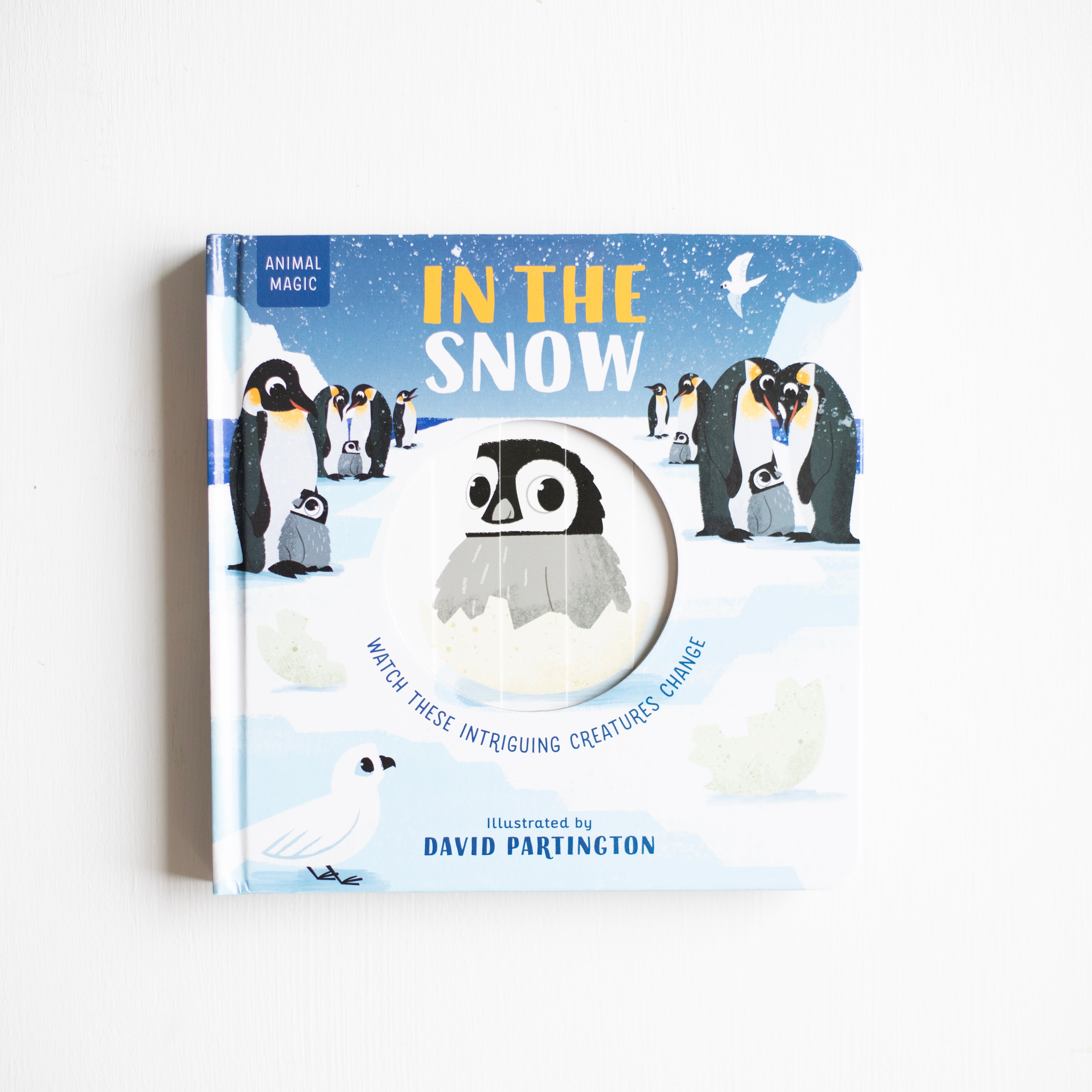 Animal Magic: In the Snow