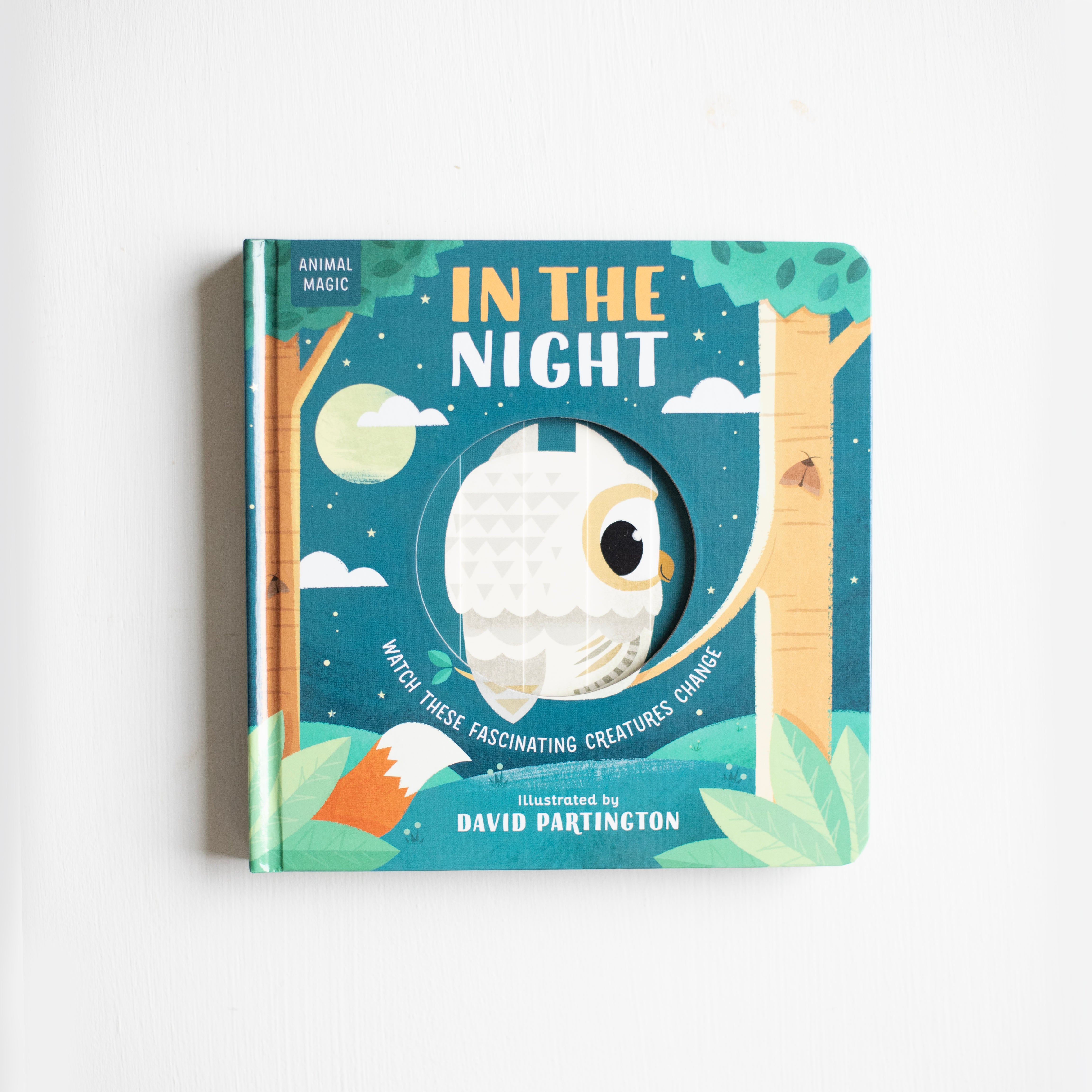 Animal Magic: In the Night