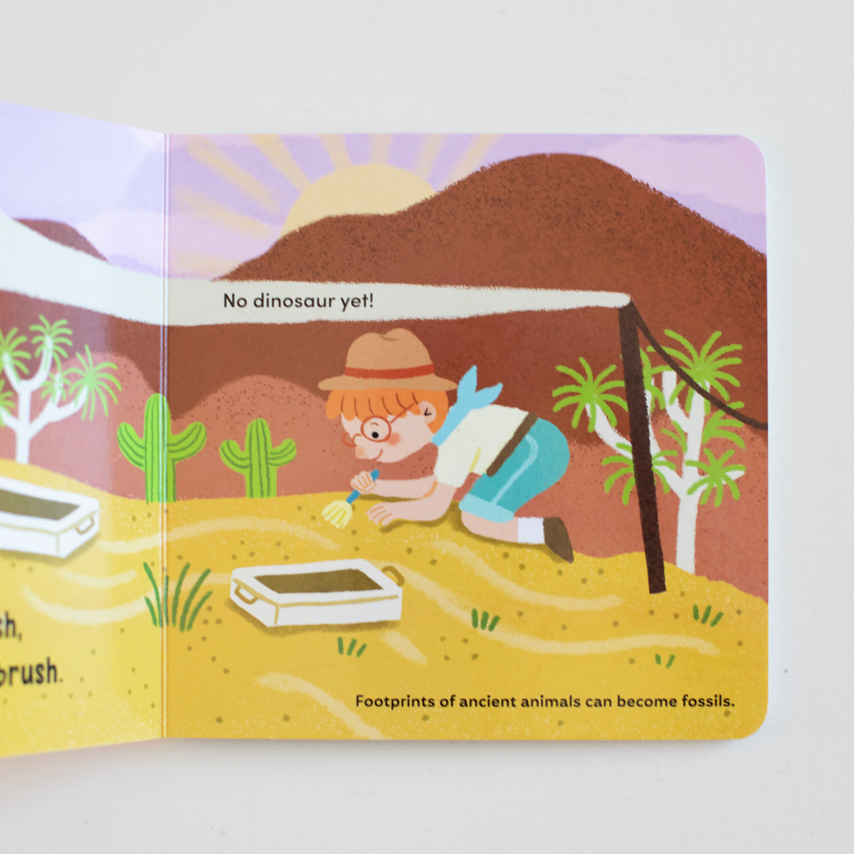 Digging for Dinosaurs