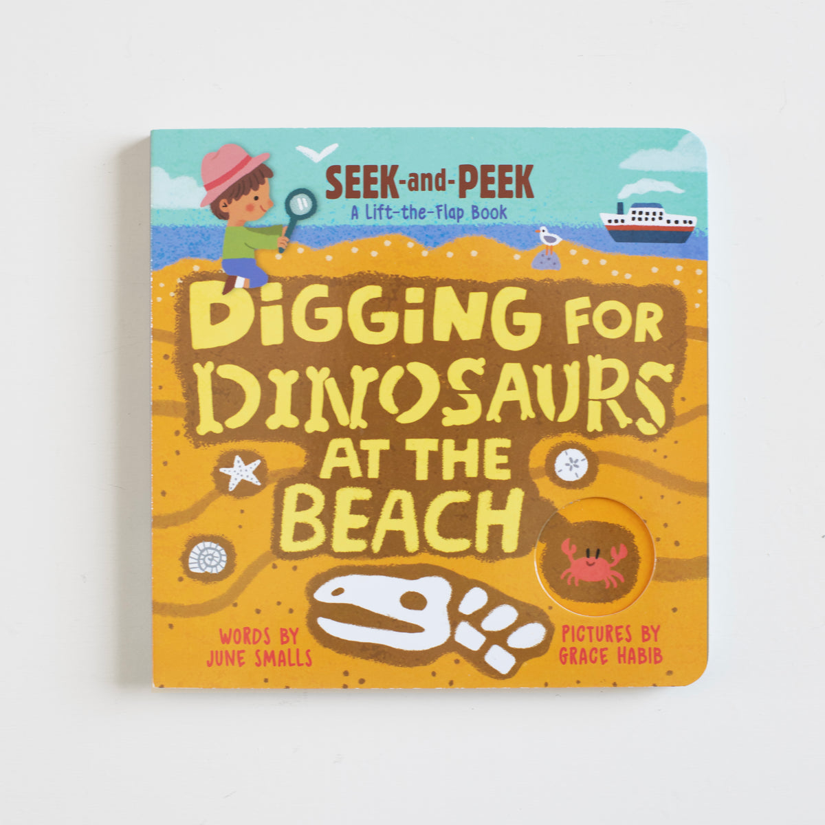 Digging for Dinosaurs: At the Beach