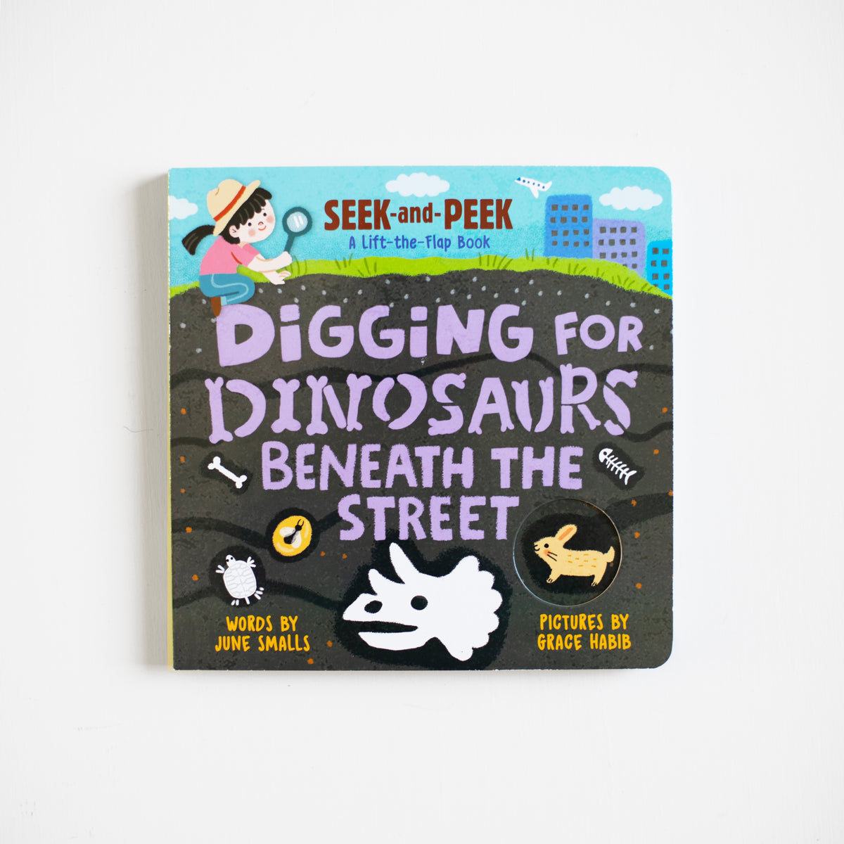 Digging for Dinosaurs: Beneath the Street