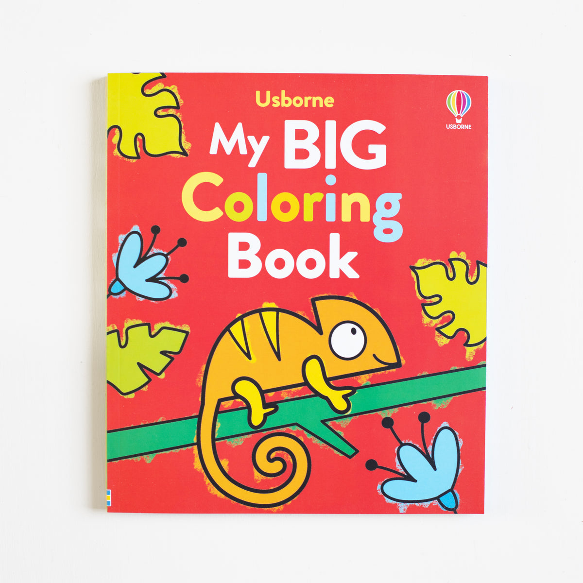 My Big Coloring Book