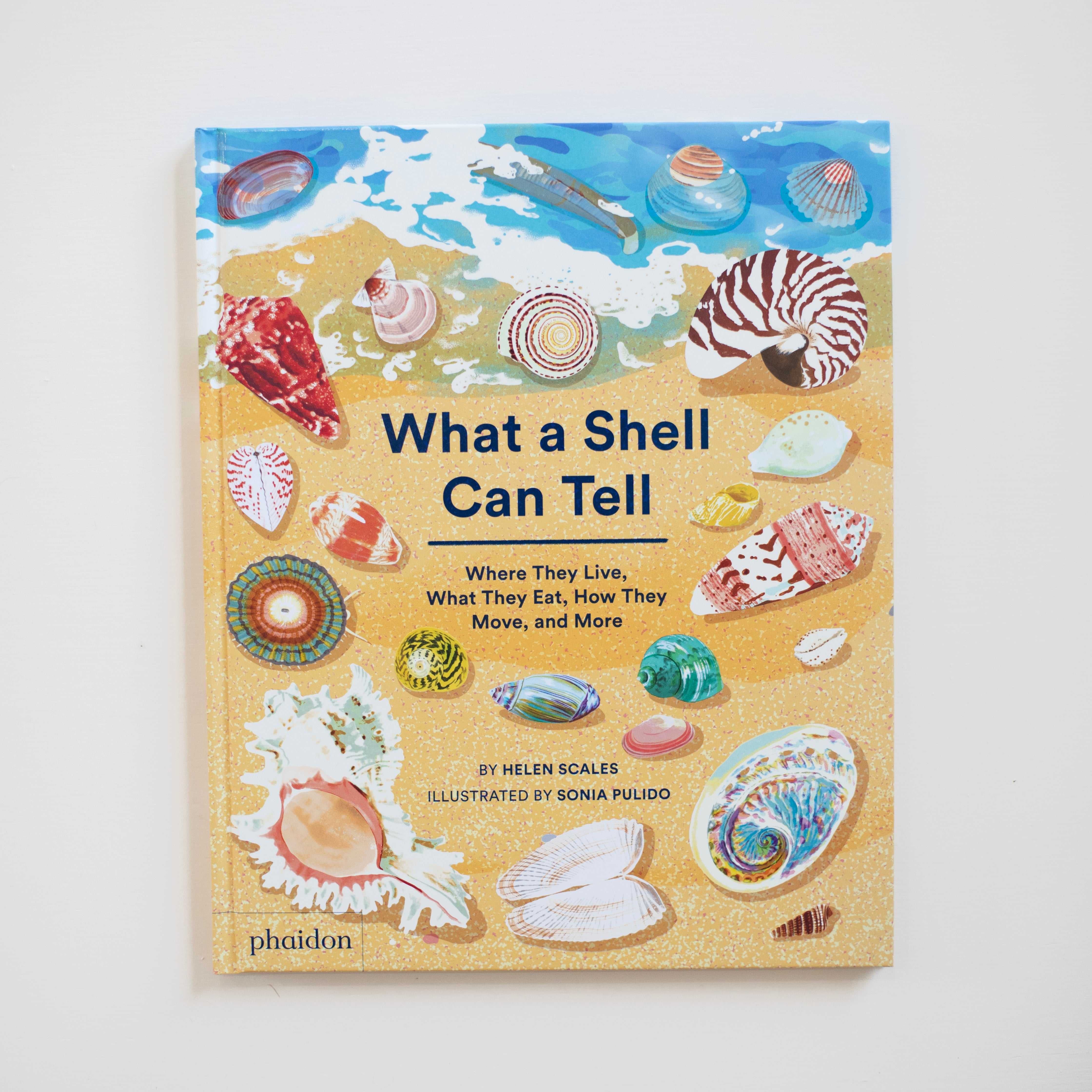 What A Shell Can Tell