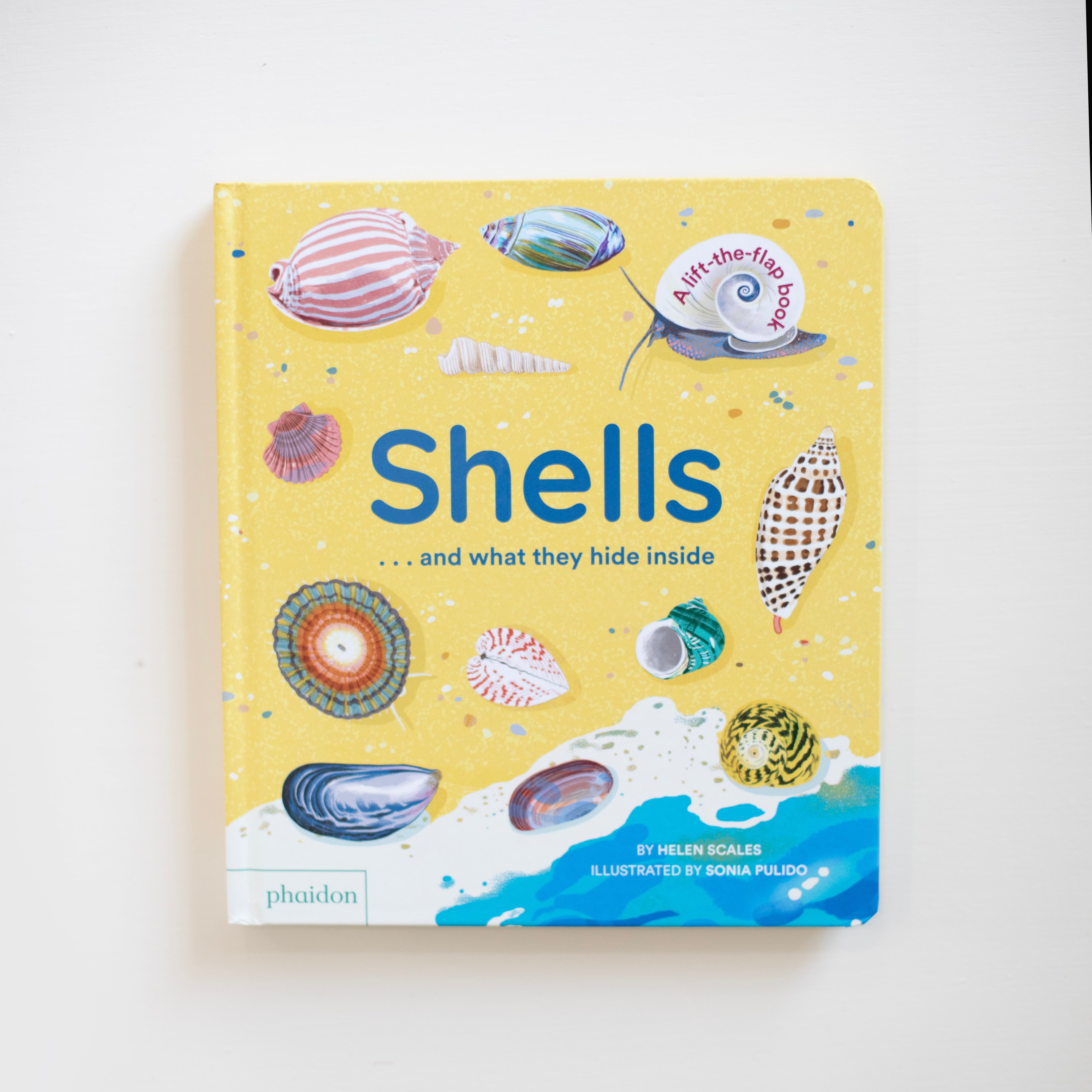 Shells... And What They Hide Inside