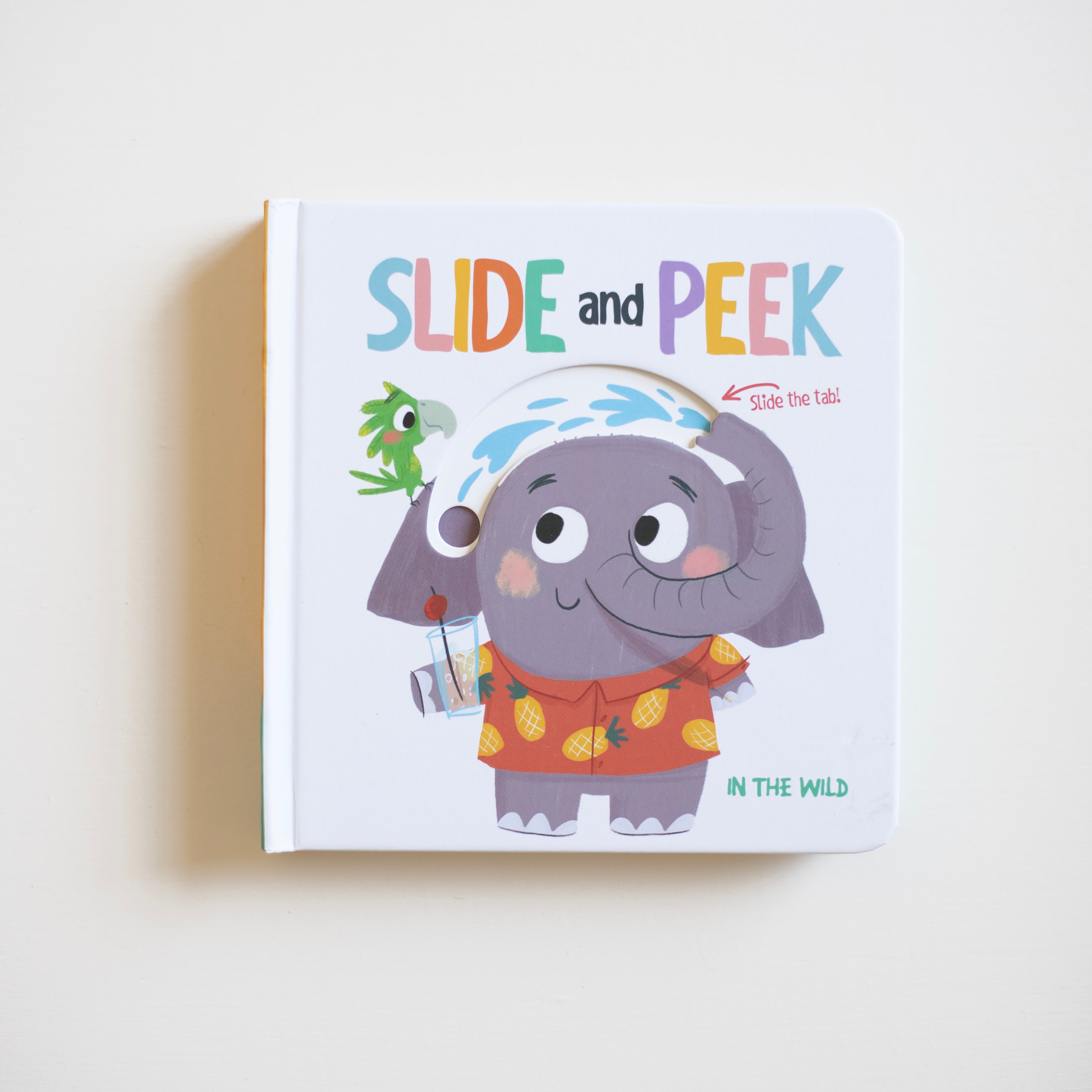 Slide and Peek - In The Wild