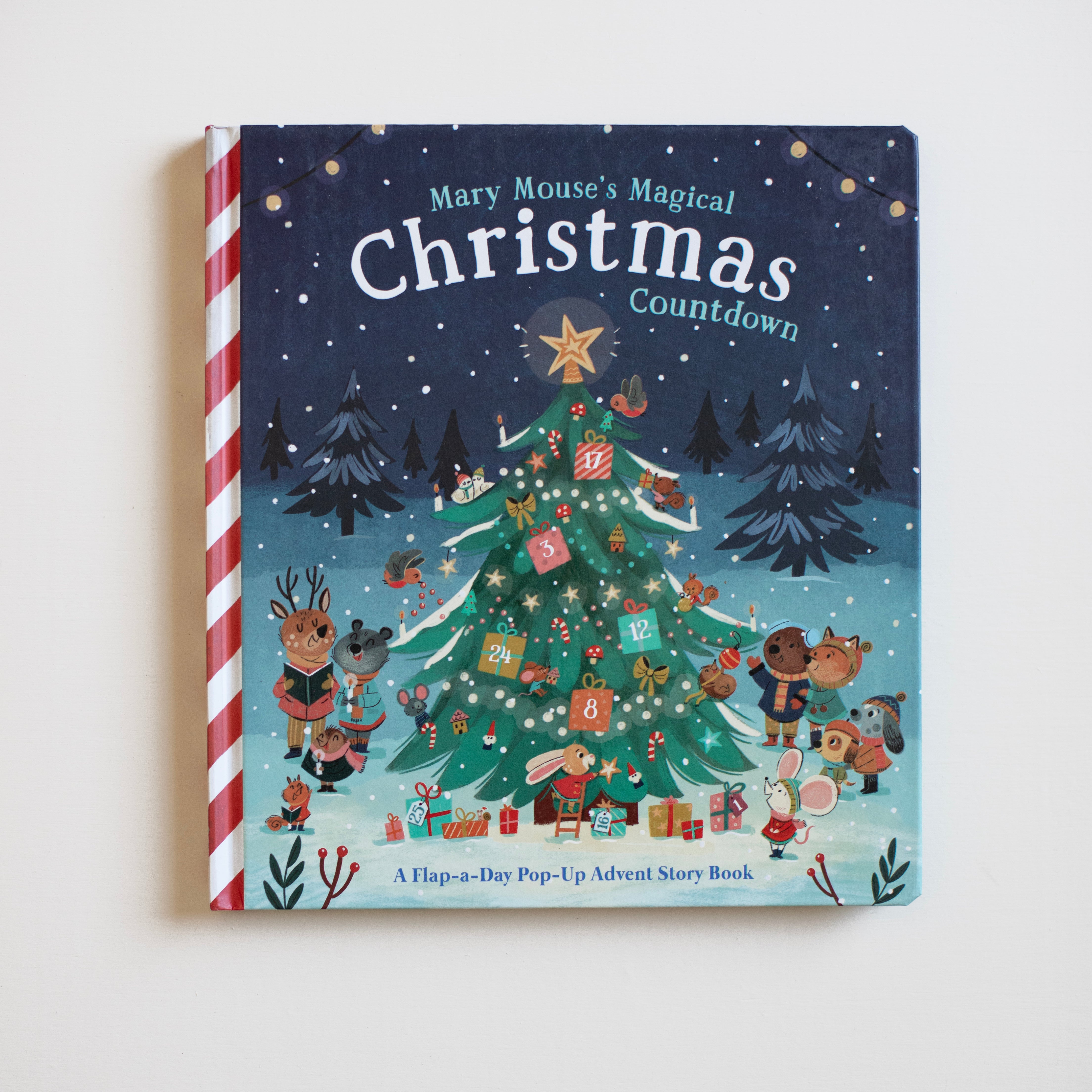 Mary Mouse's Magical Christmas Countdown